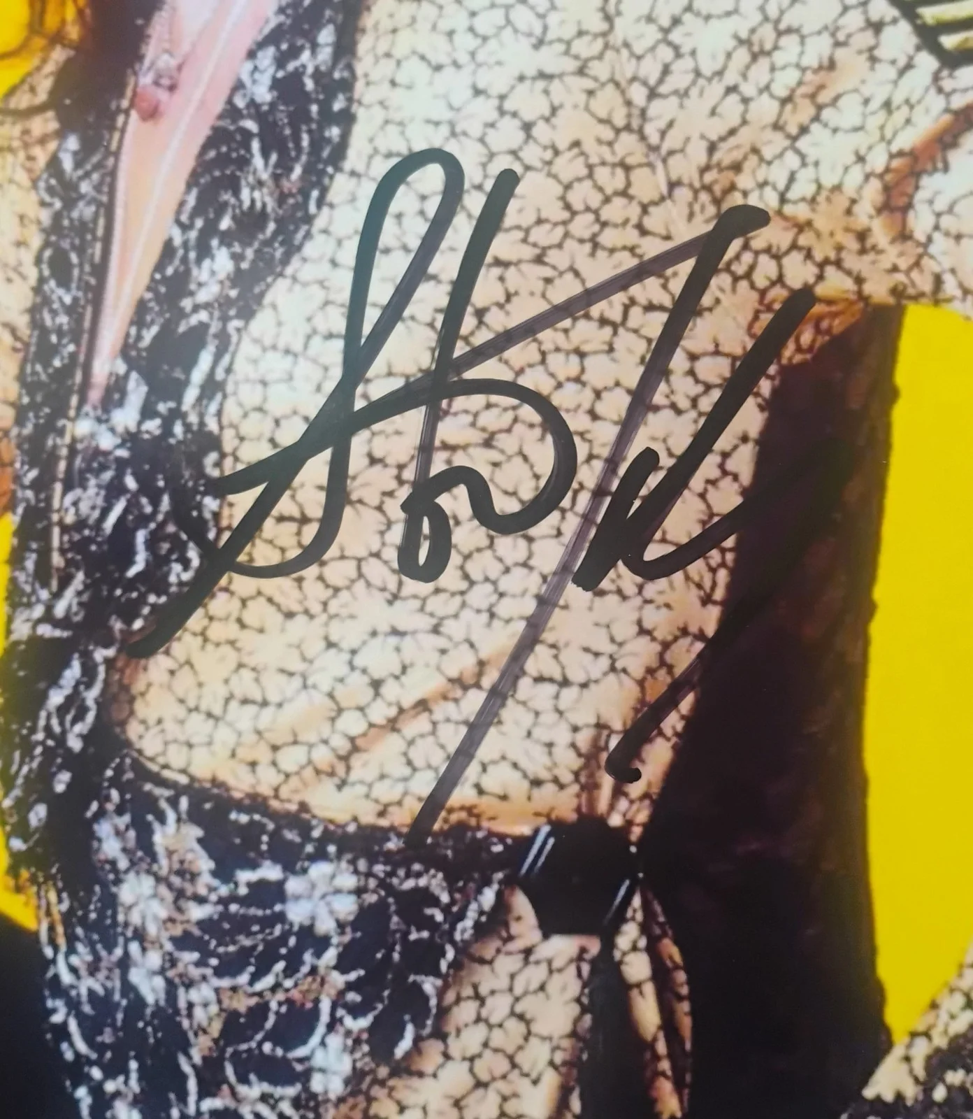 Steven Tyler Hand Signed Autograph 11x14 Photo COA Aerosmith NO US TARIFF, изображение 3