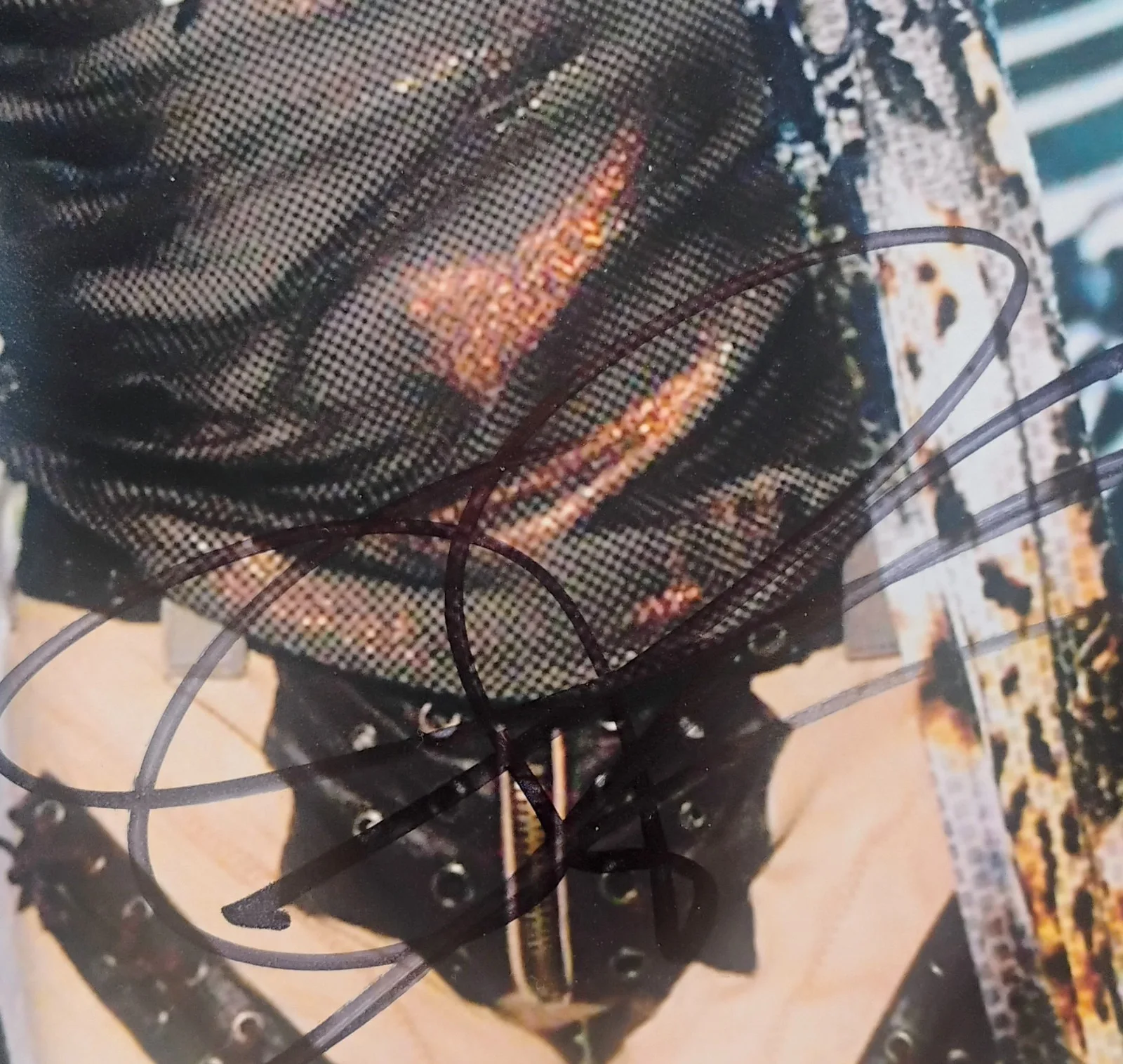 Steven Tyler Hand Signed Autograph 11x14 Photo PSA COA Aerosmith NO US TARIFF, image 3