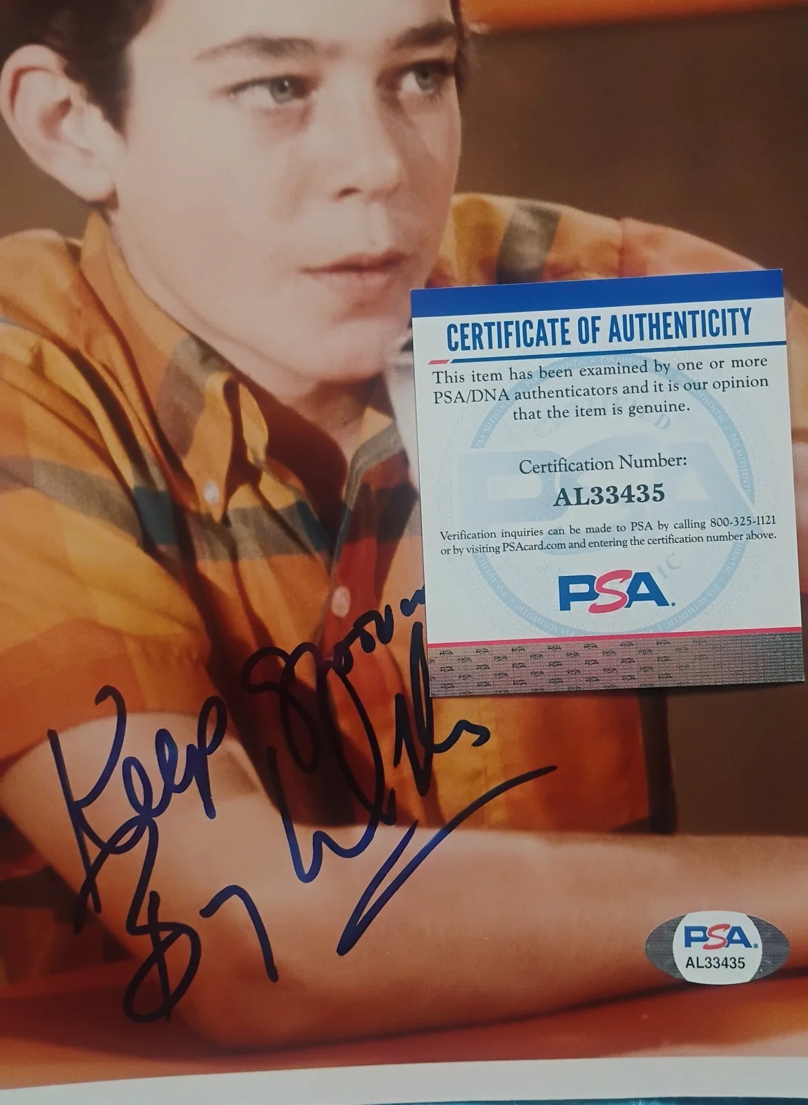 Barry Williams Hand Signed Autograph 8x10 Photo PSA COA Brady Bunch NO US TARIFF, image 4