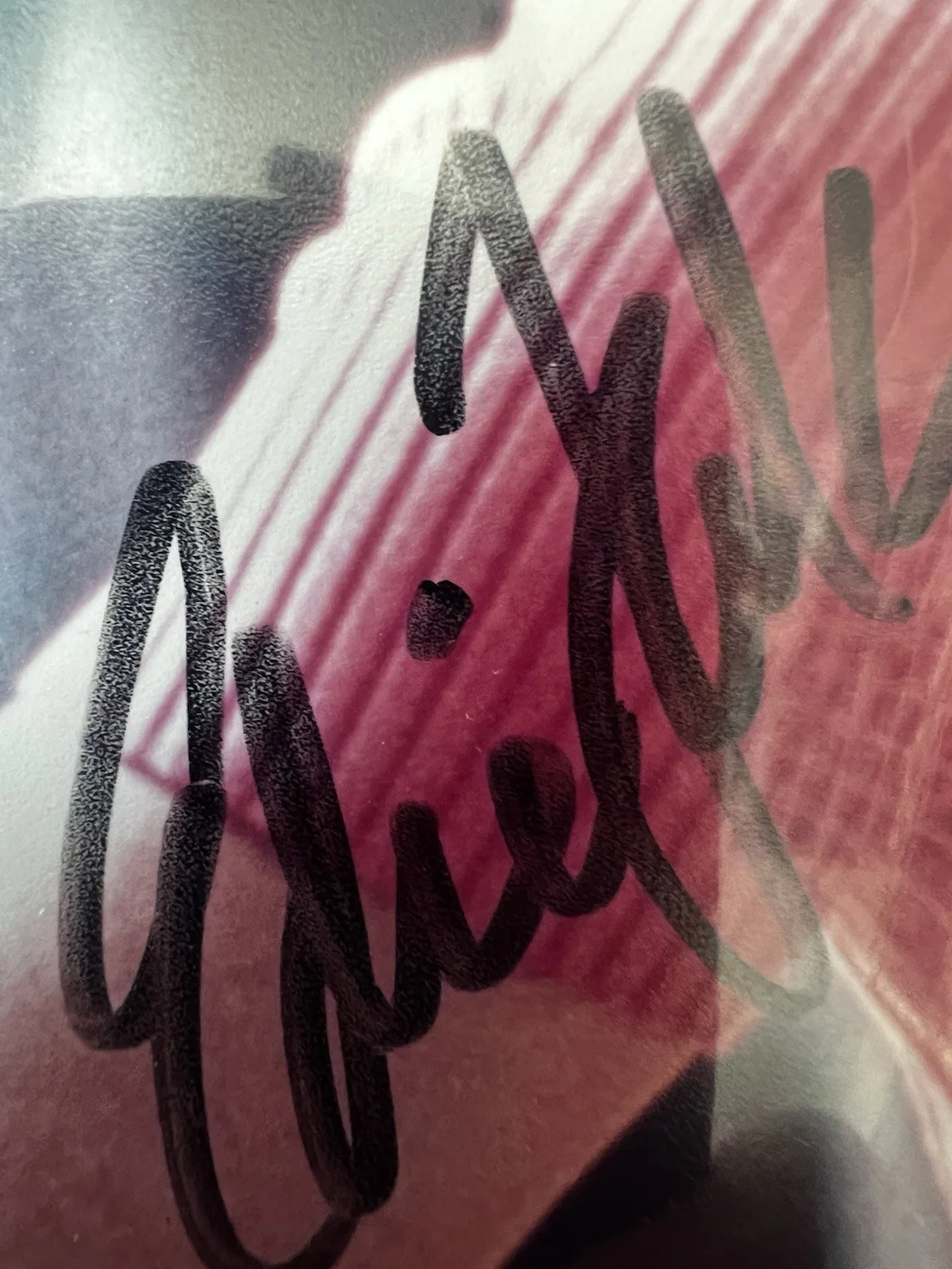 Edie Falco — Edie Falco signed Carmela Soprano The Sopranos 8x10 photo, изображение 3