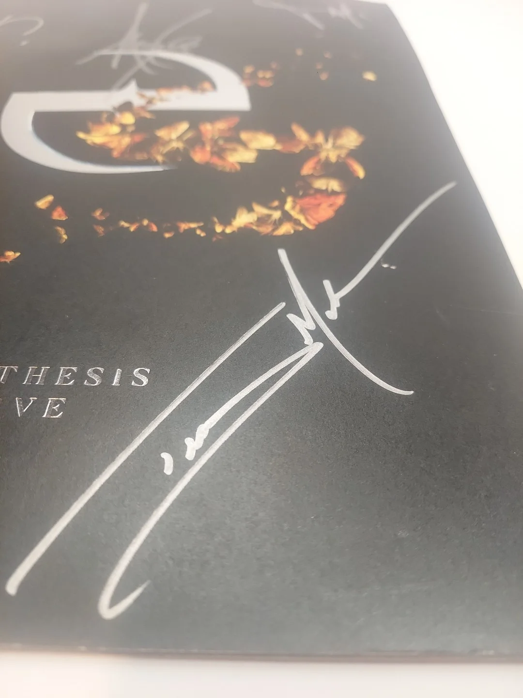 Evanescence Synthesis Live Signed Program Autograph Amy Lee, image 3