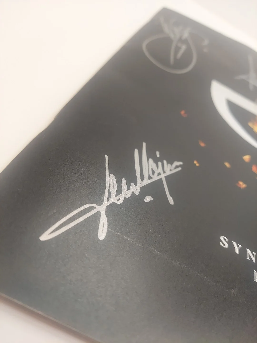 Evanescence Synthesis Live Signed Program Autograph Amy Lee, image 4
