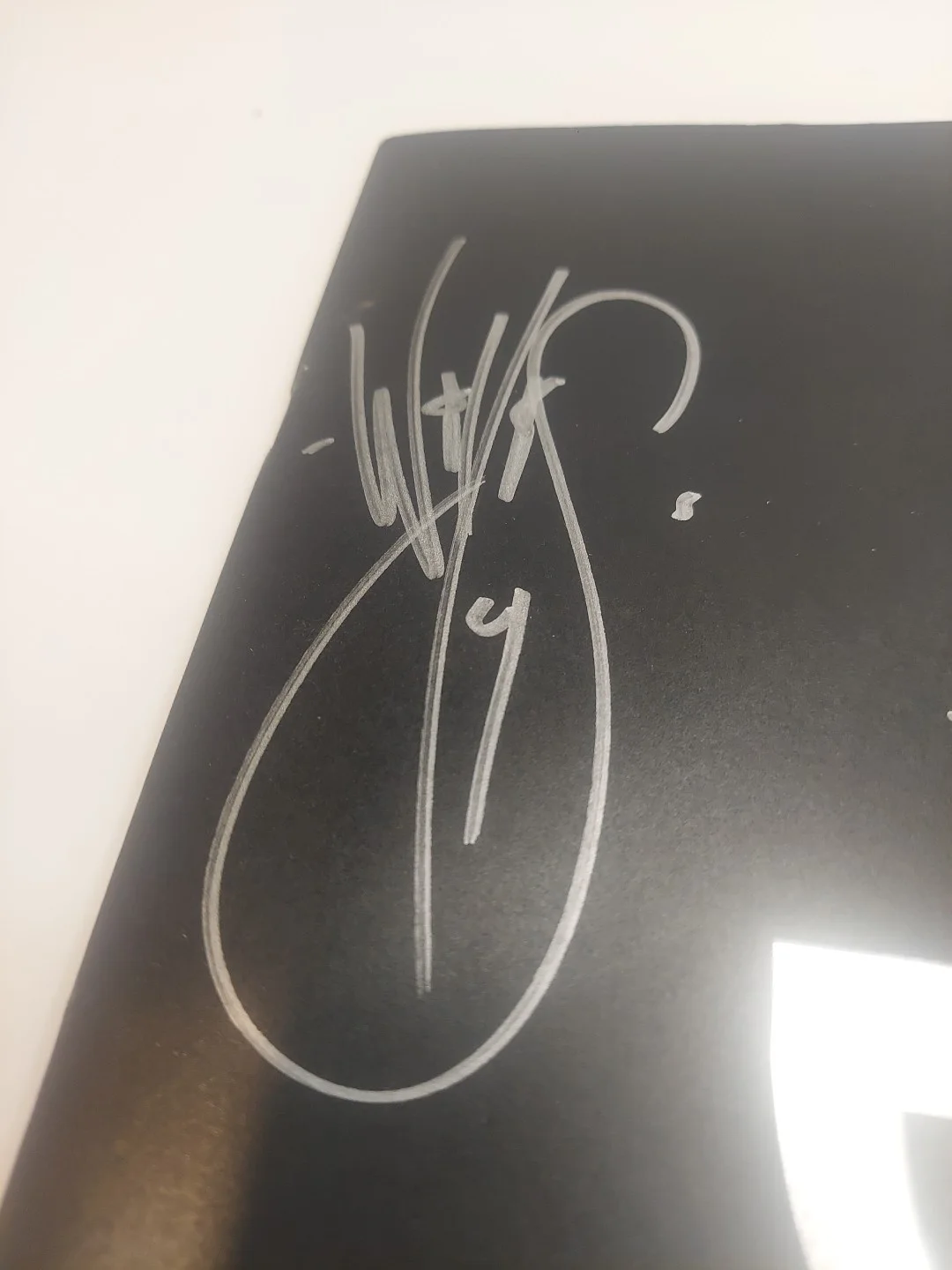 Evanescence Synthesis Live Signed Program Autograph Amy Lee, image 5