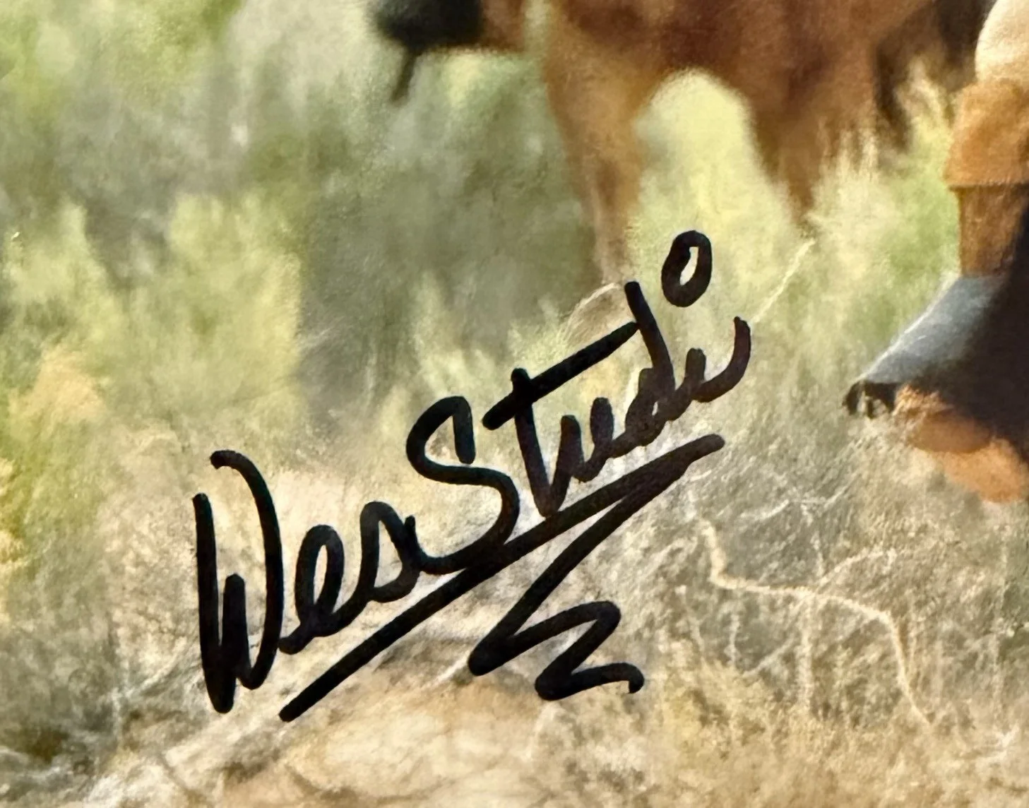 Wes Studi “ Geronimo”signed 8 X 10 Picture Autograph Authentication, image 2