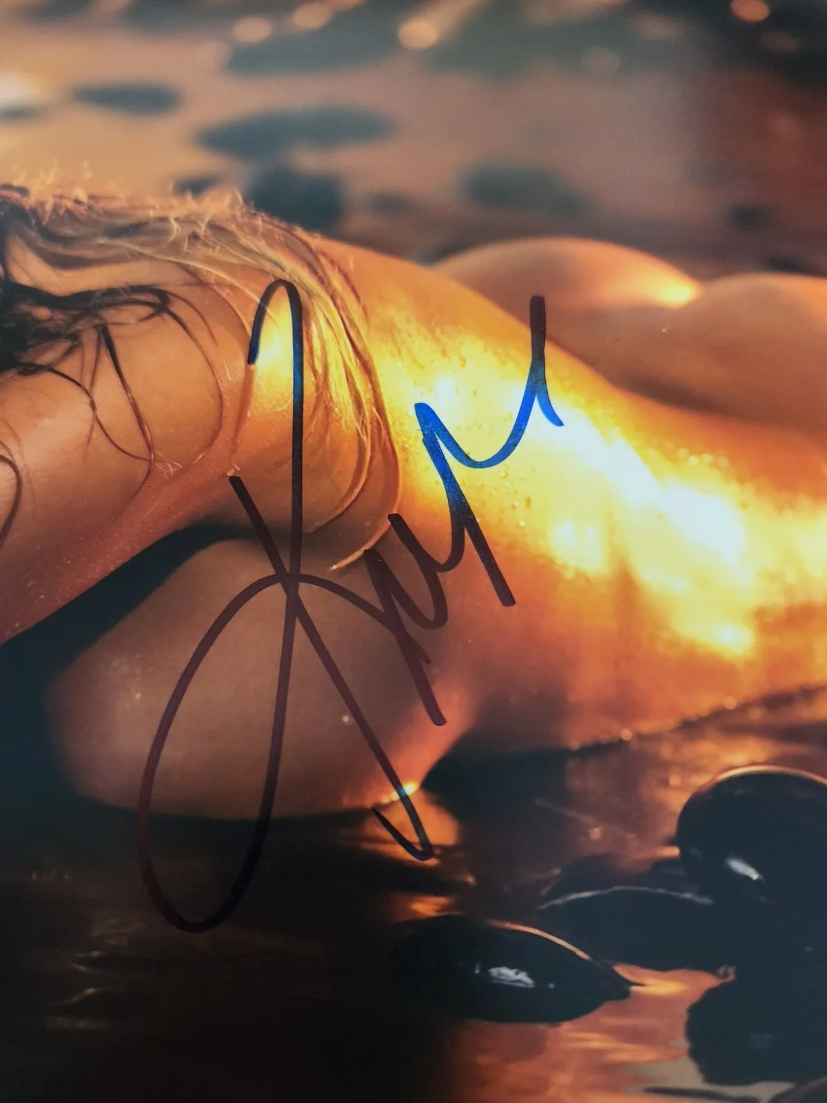 Joanna Krupa Signed Autographed 8x10" Photograph AW COA Supermodel Sexy Portrait, изображение 2