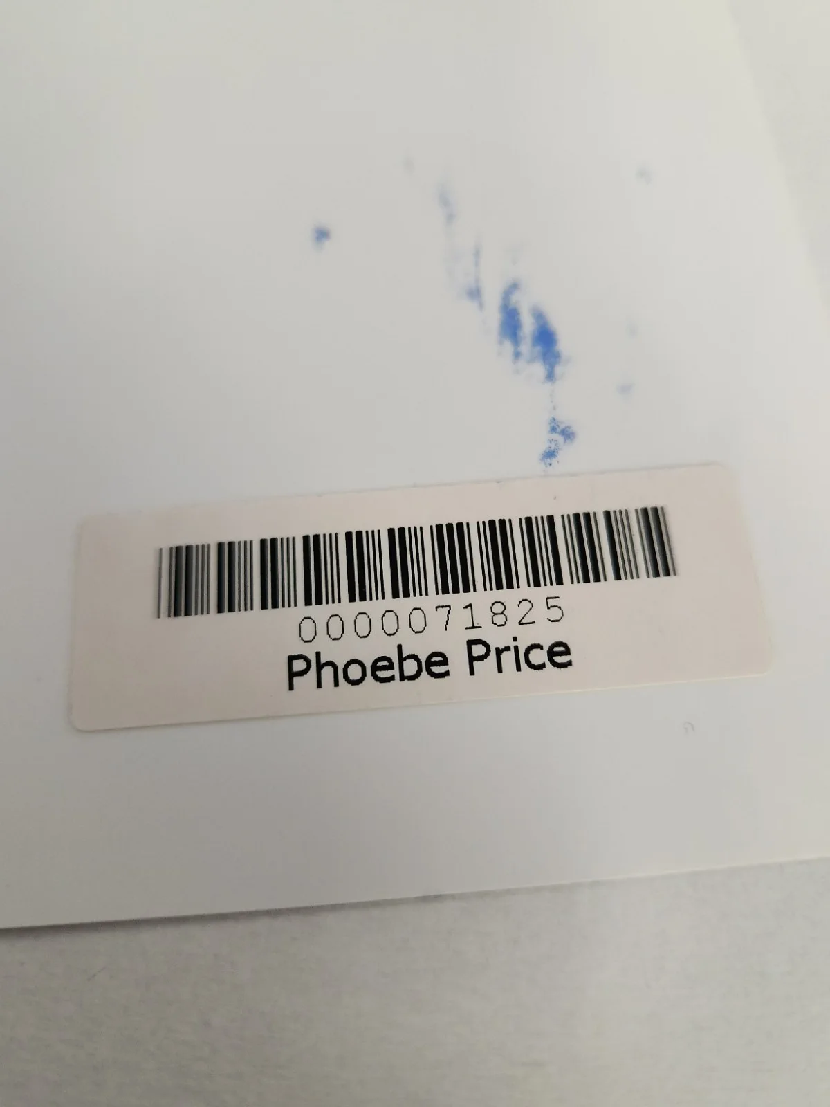 Phoebe Price Signed Autographed 8x10" Photograph AW COA Sexy Portrait, изображение 3