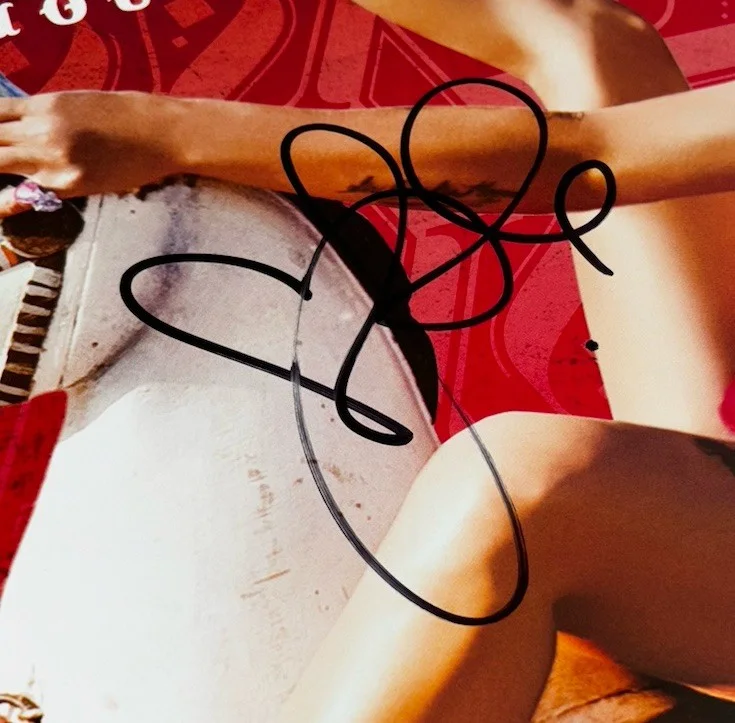 Pink Signed Vinyl Album Funhouse P!NK, изображение 2