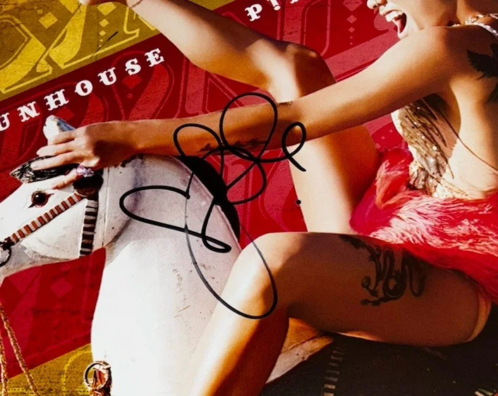 Pink Signed Vinyl Album Funhouse P!NK, изображение 3