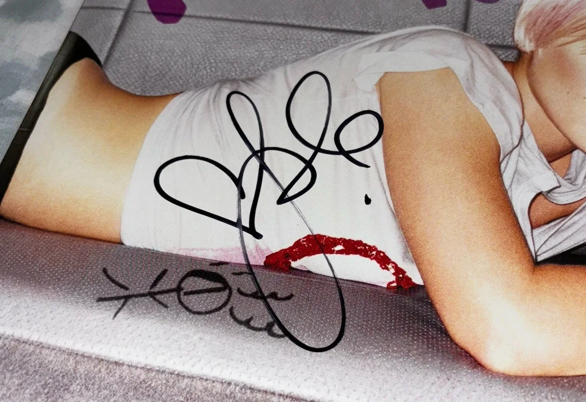 Pink Signed Vinyl Album Missundaztood P!NK, изображение 3