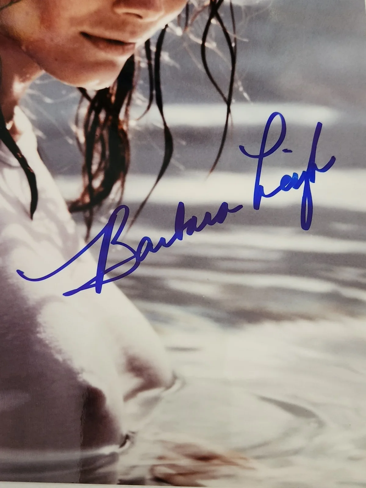 Barbara Leigh Signed Autographed 8x10" Photograph AW COA Sexy Portrait, image 2