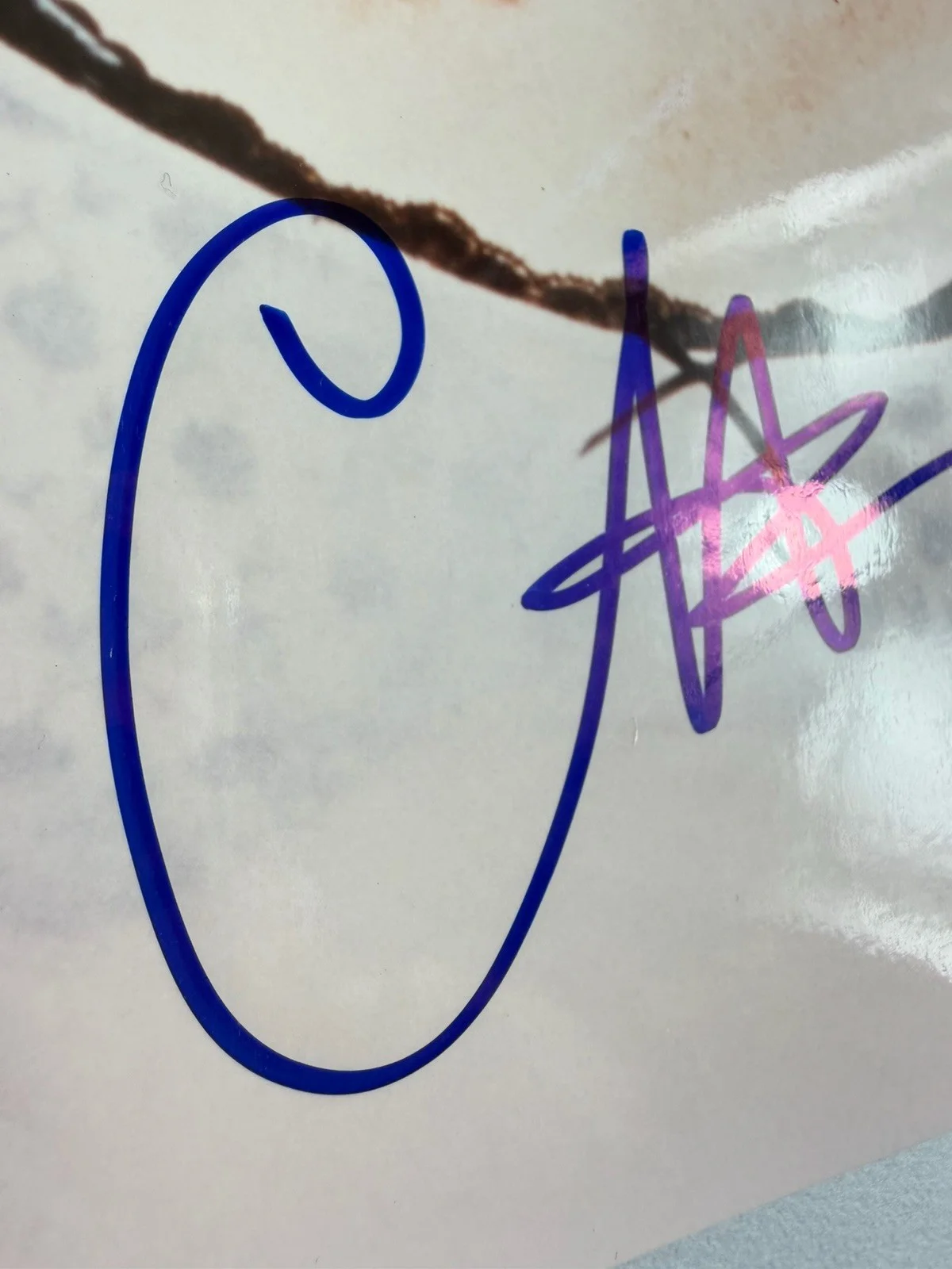 CHER Signed Autographed 8x10 Photograph with Certificate, image 5
