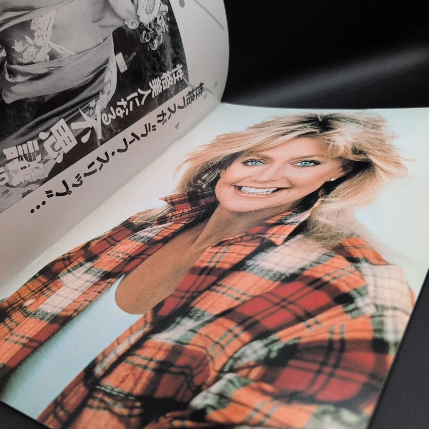 Overboard Japanese Film Programme Goldie Hawn Kurt Russell Japan Import, image 3