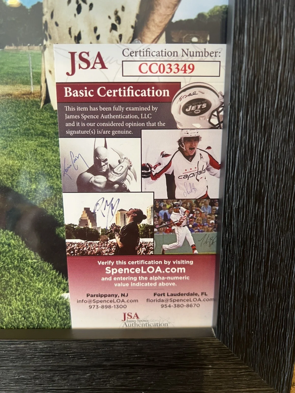 Tatum O’Neal — Framed 11x14 Bad News Bears Tatum O’Neal Signed Photo (JSA) Excellent Condition, image 3