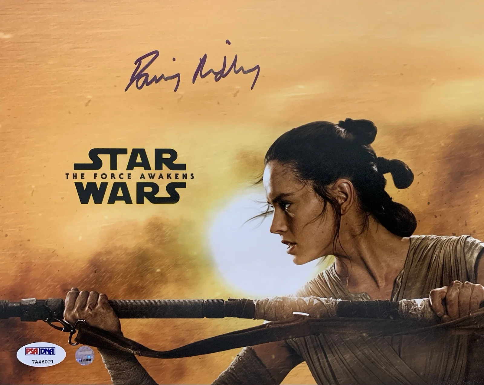 Daisy Ridley — Daisy Ridley "The Force Awakens" Signed 8x10 Photo - PSA Witnessed 7A46021