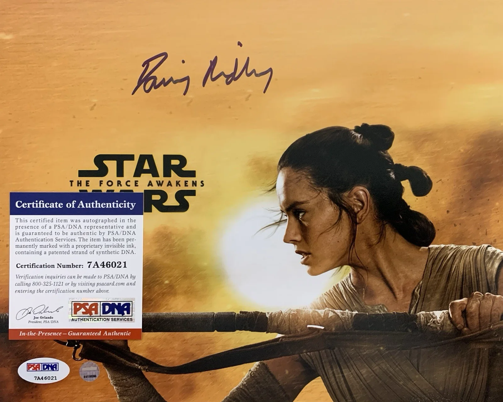 Daisy Ridley — Daisy Ridley "The Force Awakens" Signed 8x10 Photo - PSA Witnessed 7A46021, изображение 2