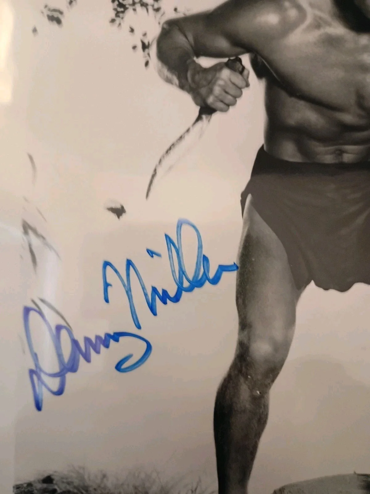 Denny Miller — DENNY MILLER Signed Autographed 8x10 Photo as 1959 TARZAN (d.2014), изображение 2