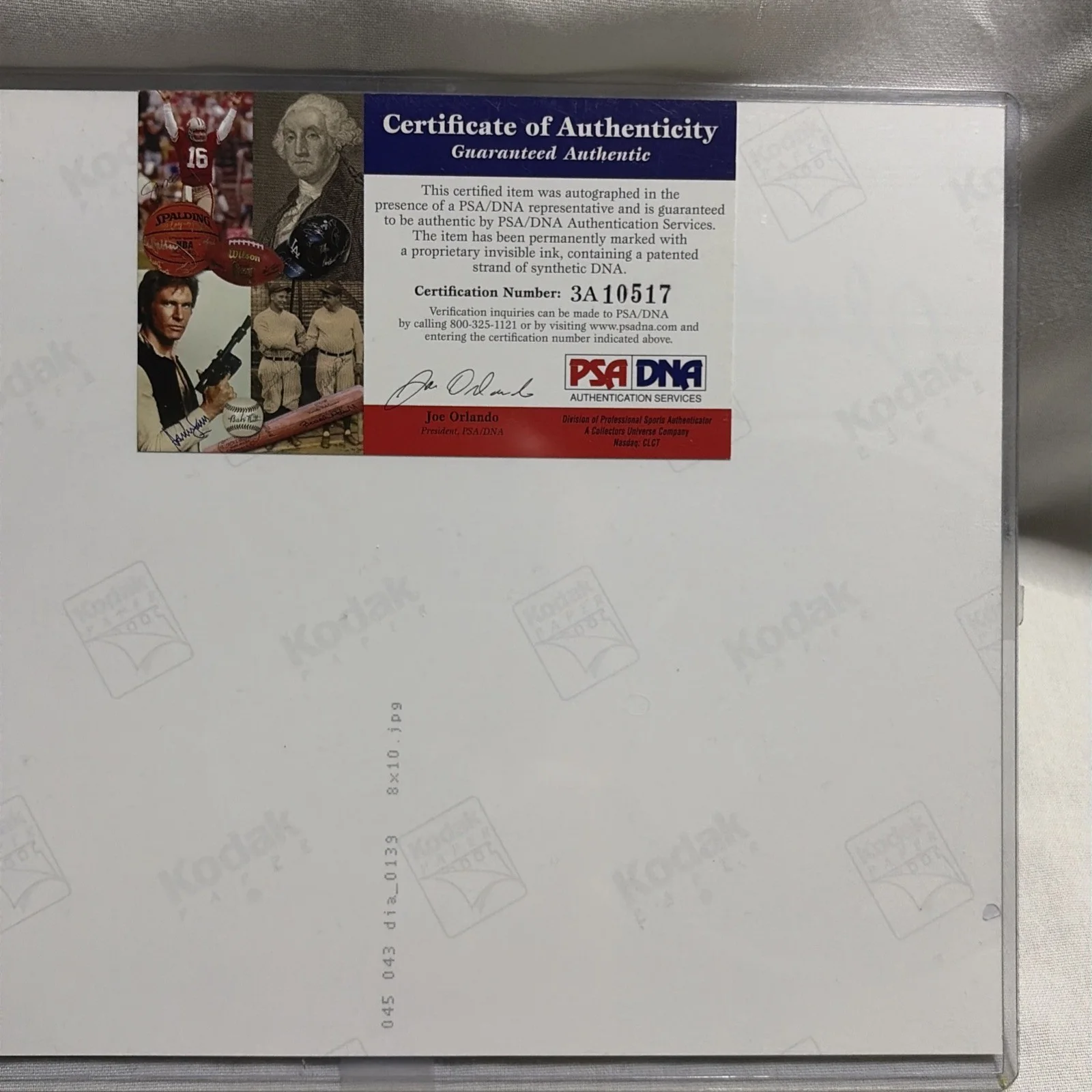 Cheech Marin / Tommy Chong — Cheech & Chong Signed Photo PSA, image 5