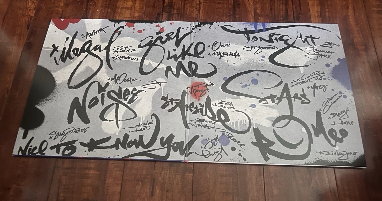 Pink Pantheress Fancy Some More Signed Vinyl Jacket Cover Taylor Swift Sold Out!, изображение 3