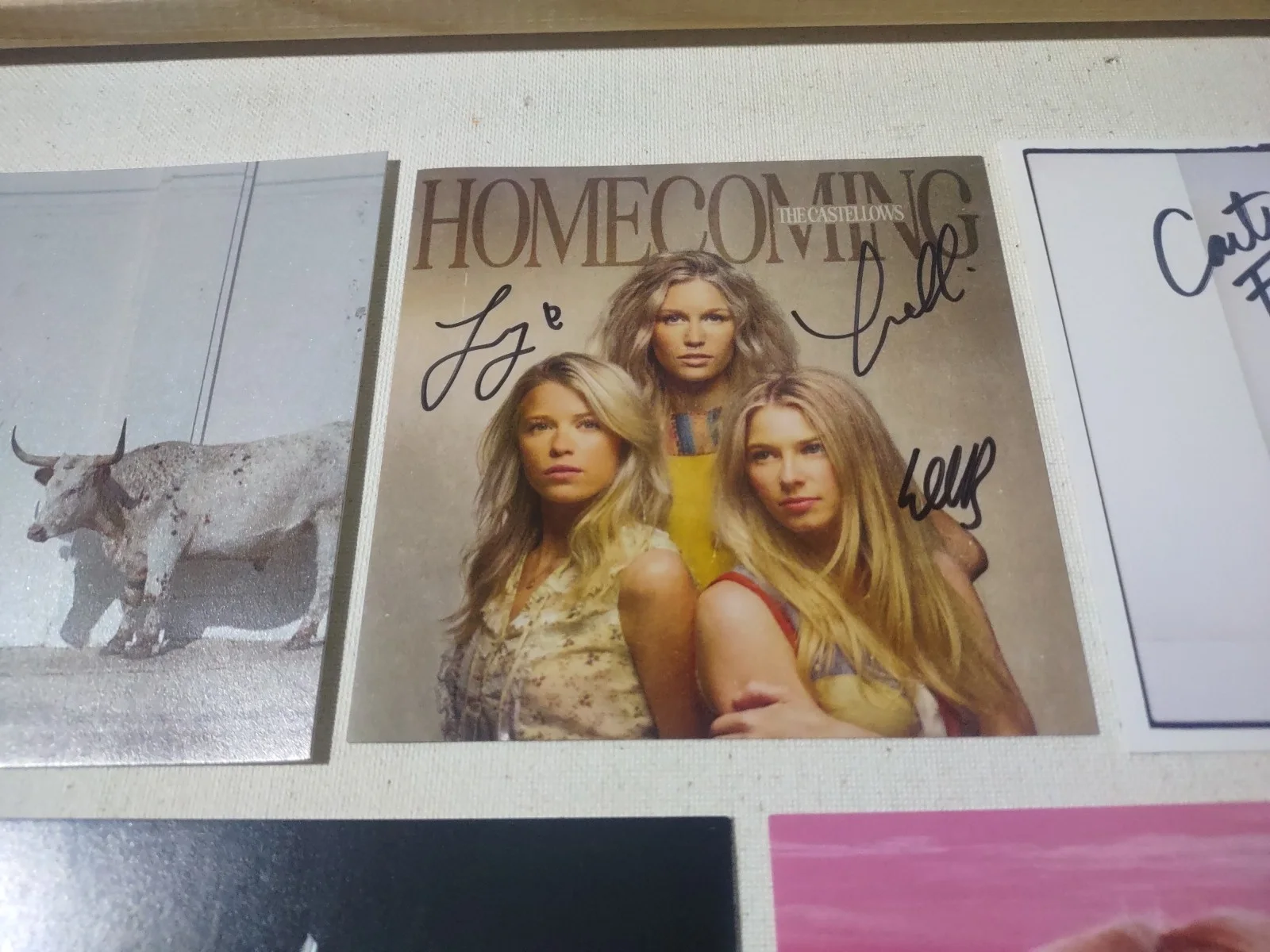 KACEY MUSGRAVES, MEGAN MORONEY, CARTER FAITH, KASSI ASHTON ++ SIGNED ART CARDS, изображение 3