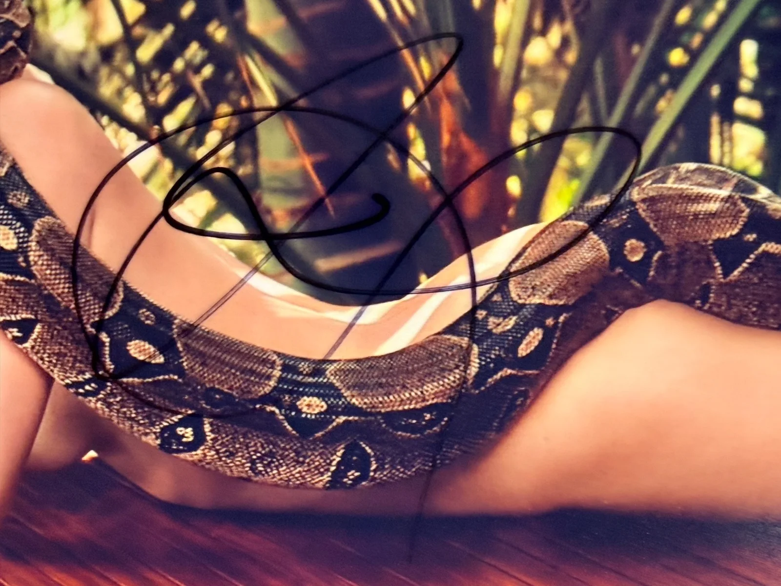 Jennifer Lawrence — Jennifer Lawrence Signed 8.5x11 Photo Auto COA Vanity Fair Snake Pose, изображение 2