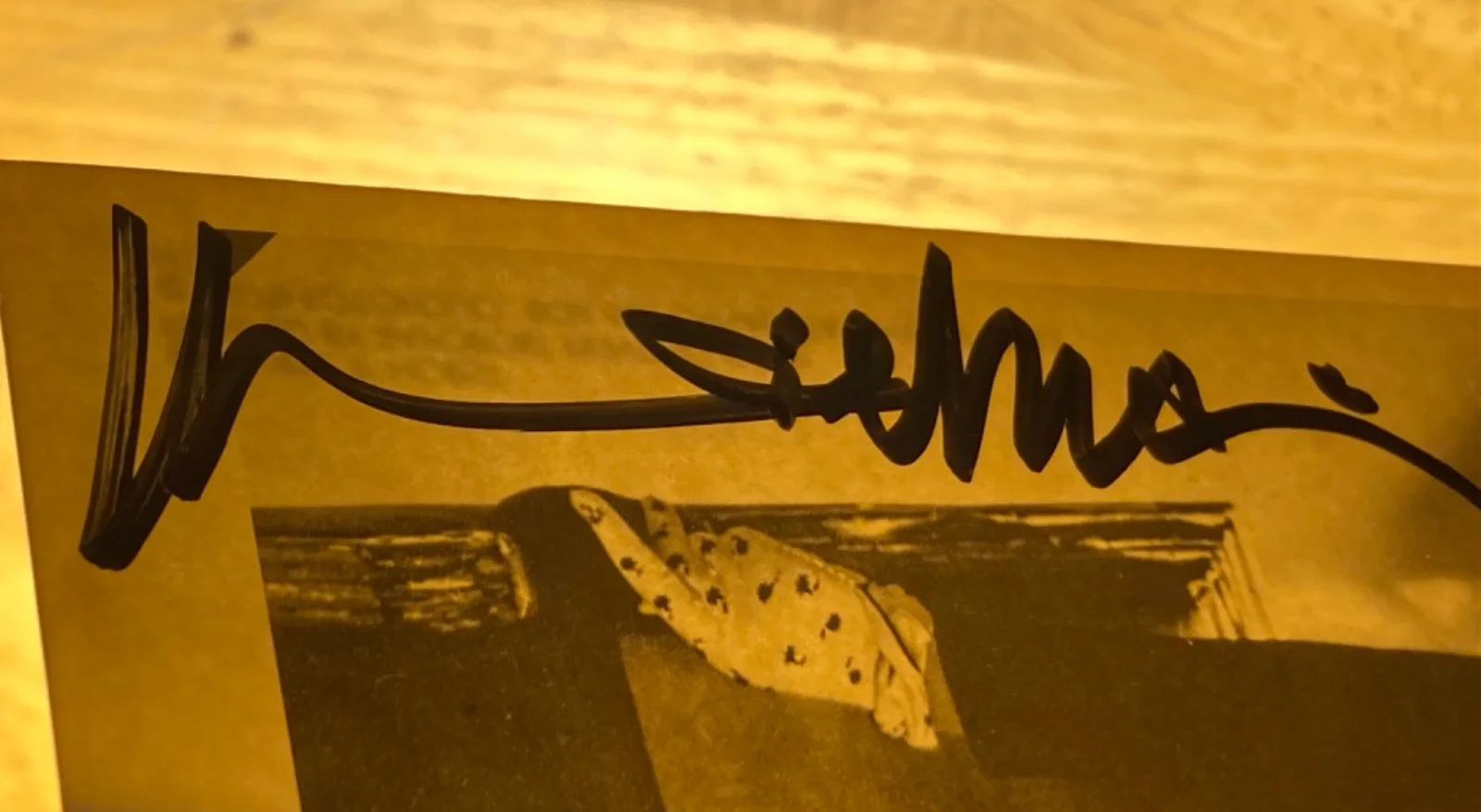 Hand SIGNED Marlene Dietrich 6x4 Vintage Photo/Postcard (Gold Smudge/Black Clean, image 5