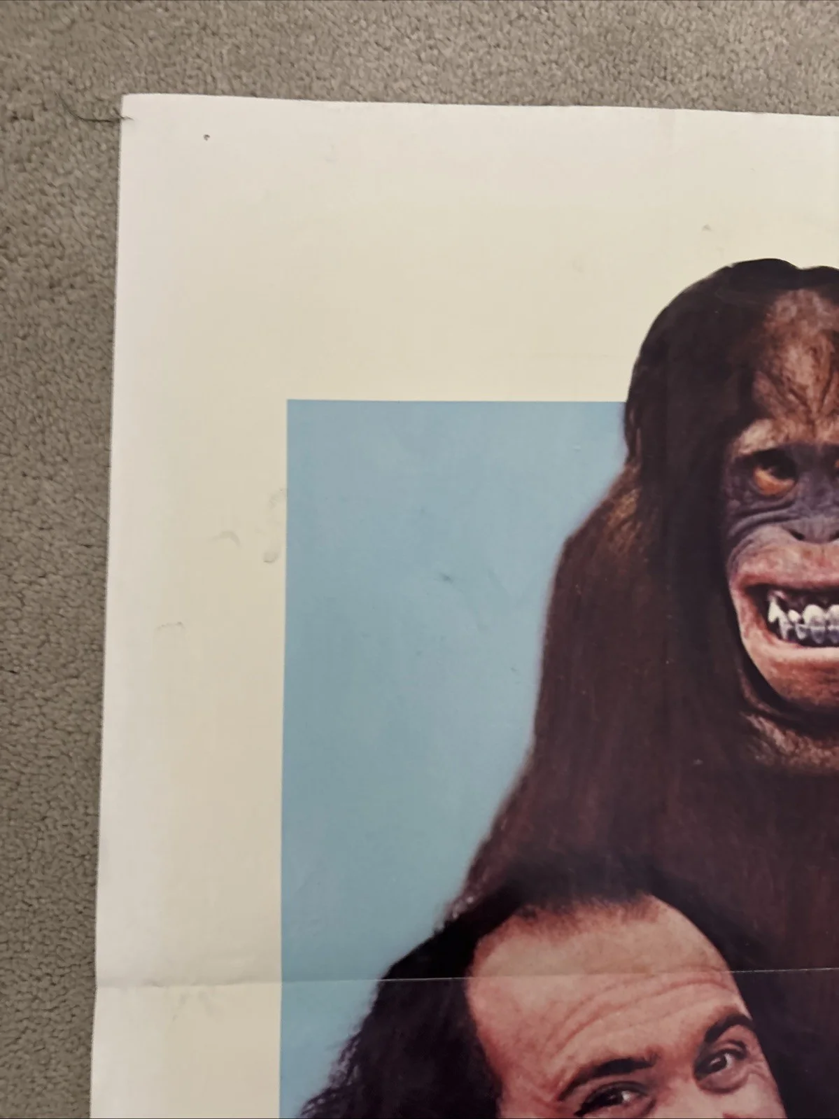 Going Ape (1981) Original US One Sheet Movie Poster, image 2