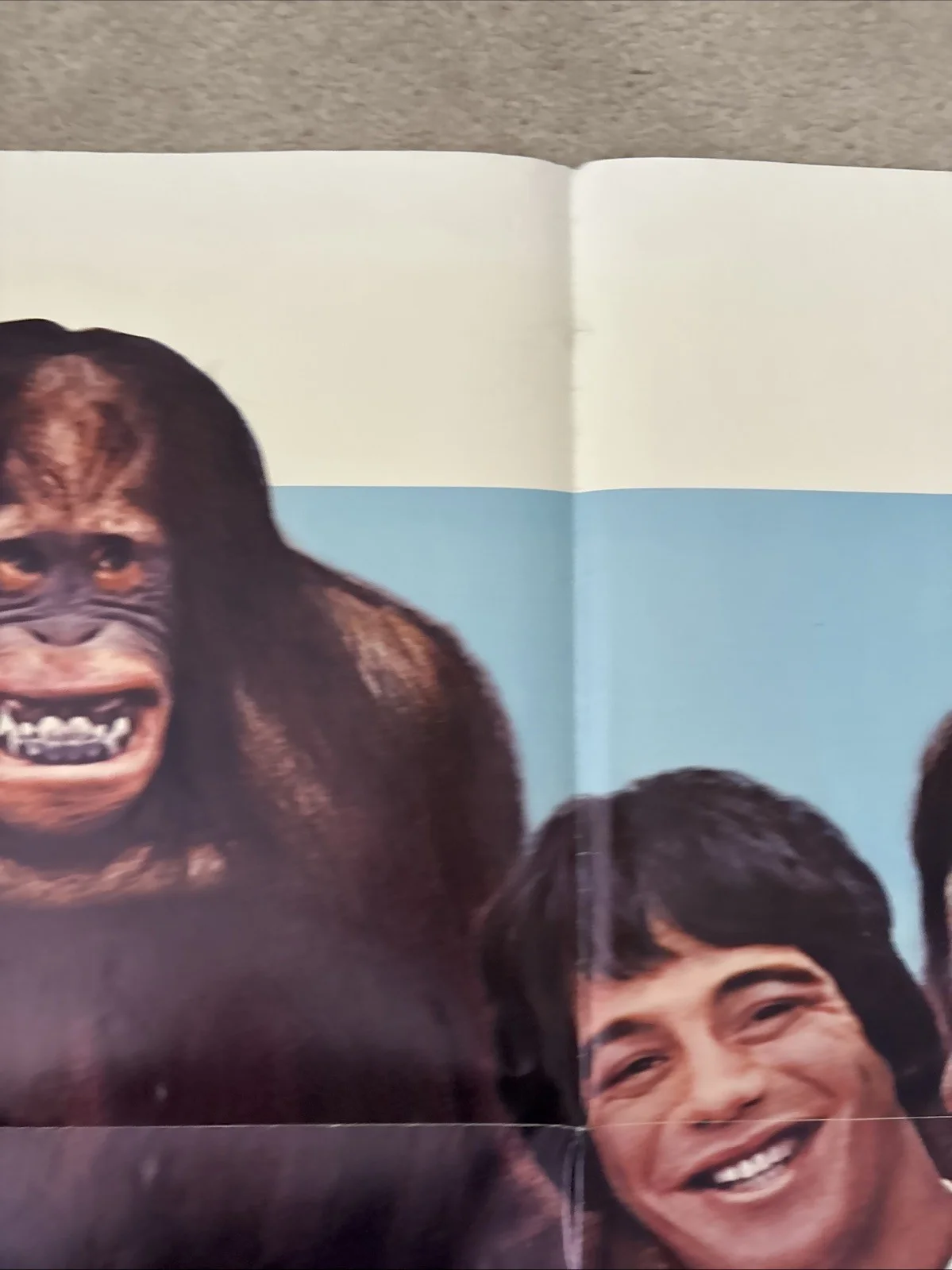 Going Ape (1981) Original US One Sheet Movie Poster, image 3