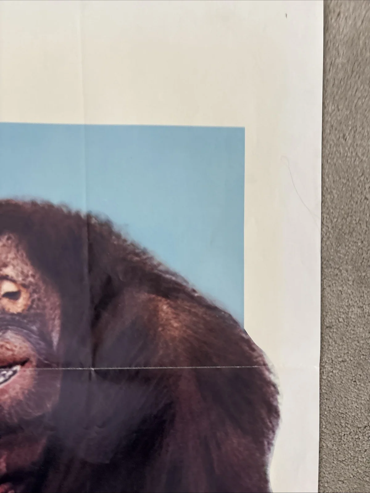 Going Ape (1981) Original US One Sheet Movie Poster, image 4
