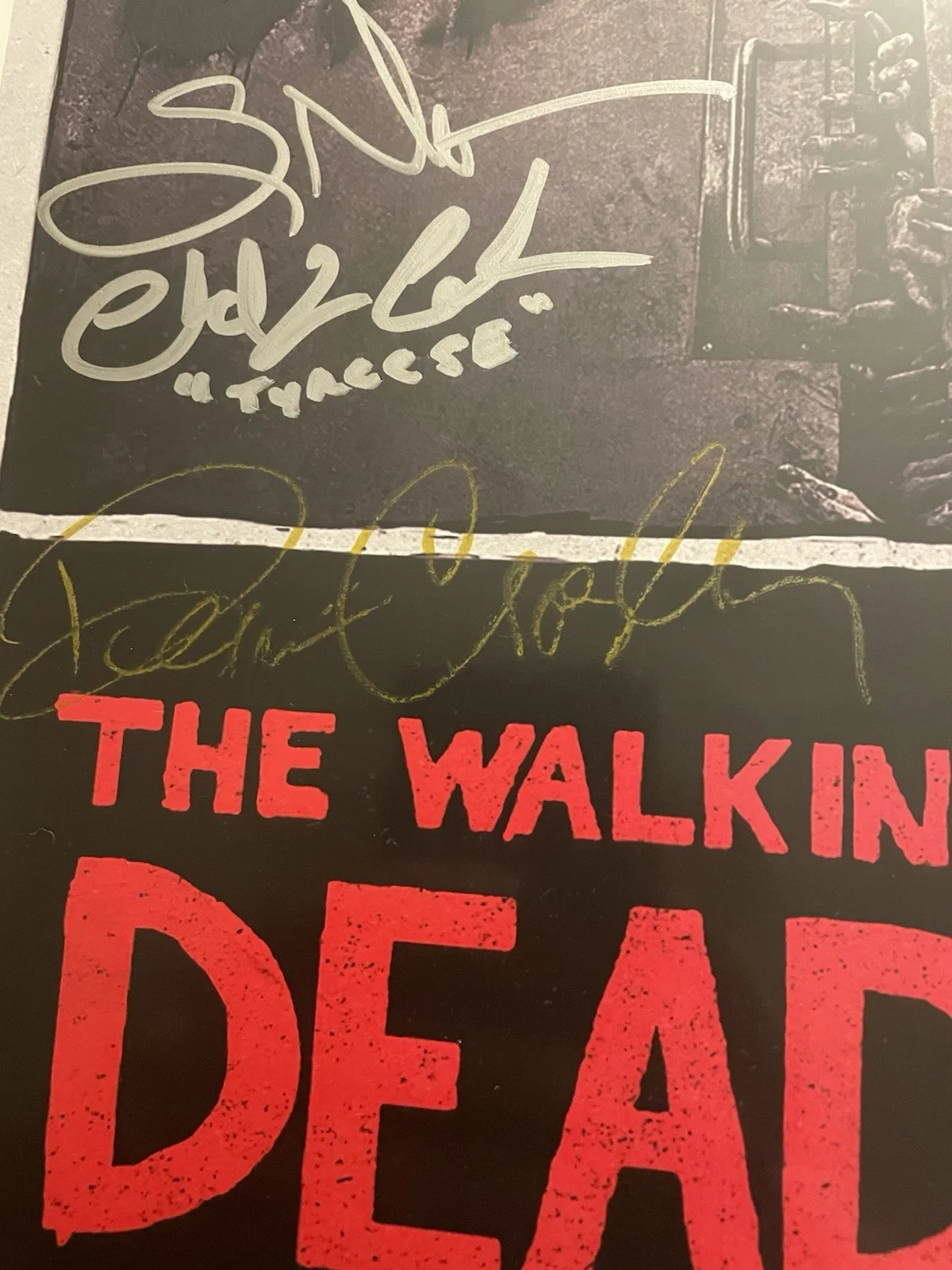 The Walking Dead 11x17 Autographed Mini Poster, image 3