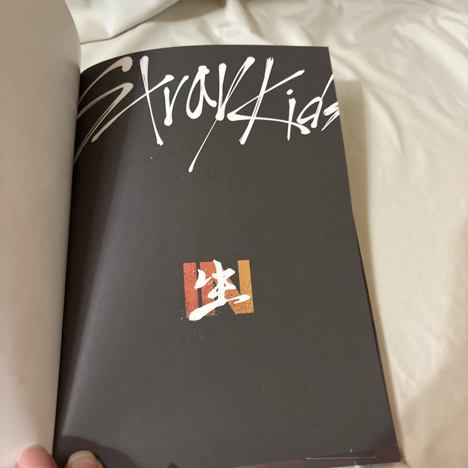 Stray Kids IN LIFE Photobook Only No CD No Photocards SKZ, изображение 5