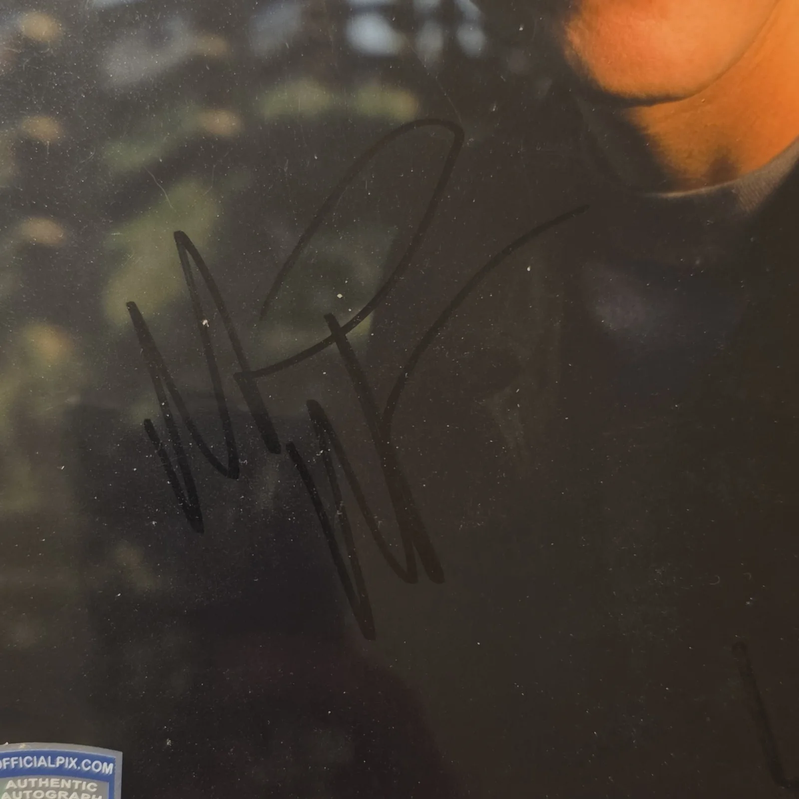 Michael Rosembaum OfficialPix Authenticated autograph, image 3