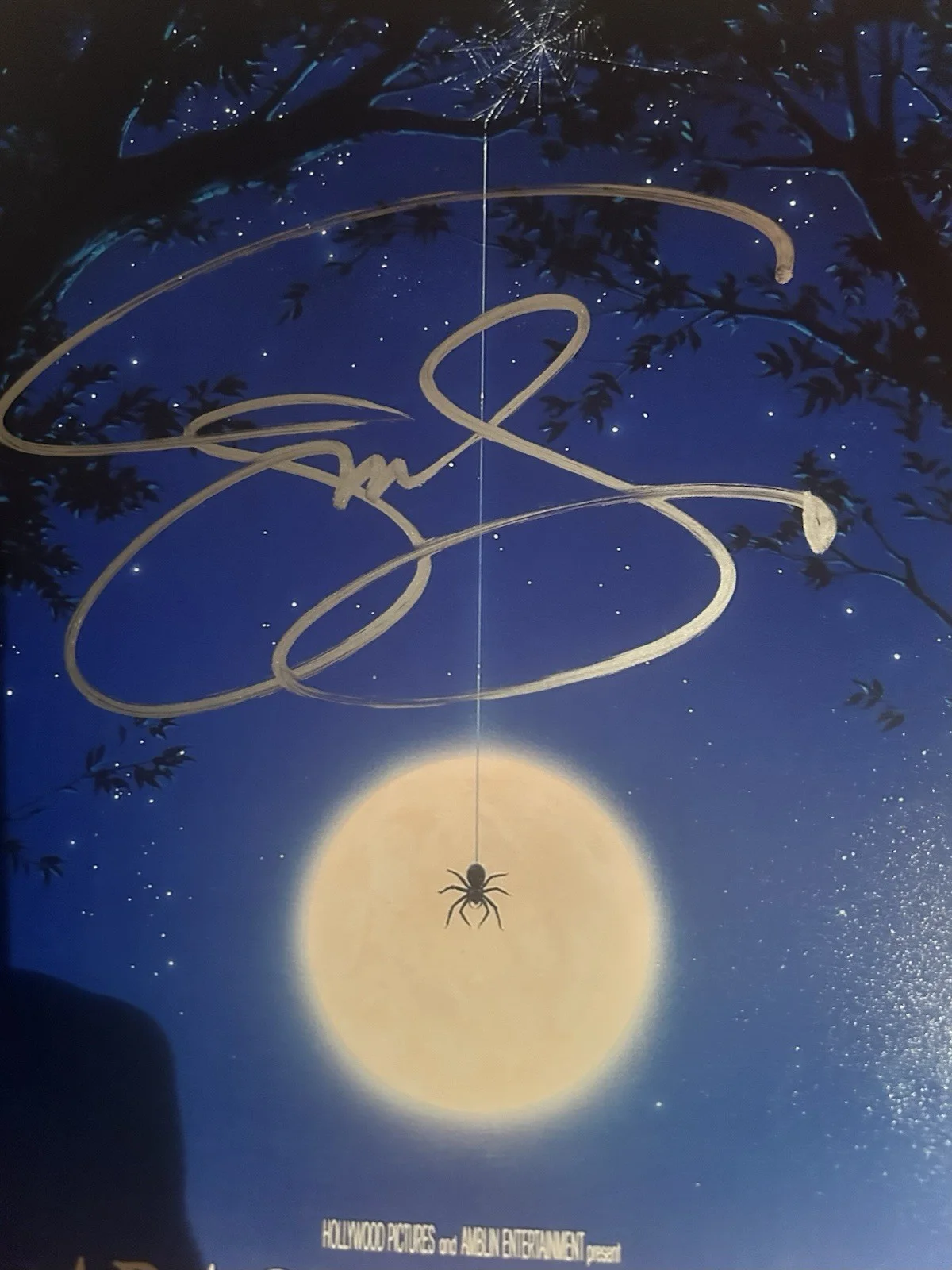 Jeff Daniels — Jeff Daniels Signed Arachnophobia 12x18 Poster JSA, image 3