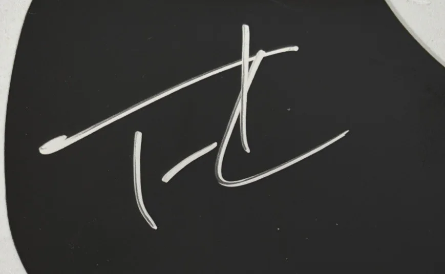 Signed Tim McGraw Autographed Acoustic Guitar Pick Guard PAAS COA, изображение 2