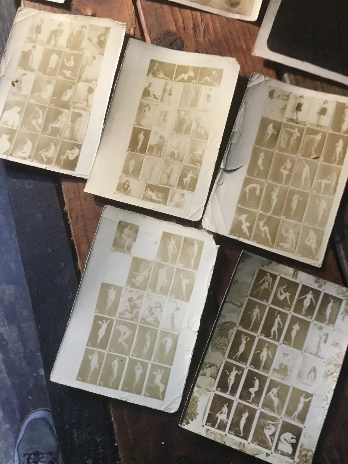Lot of Vintage Black & White Movie Stars Take a LOOK !!, изображение 4