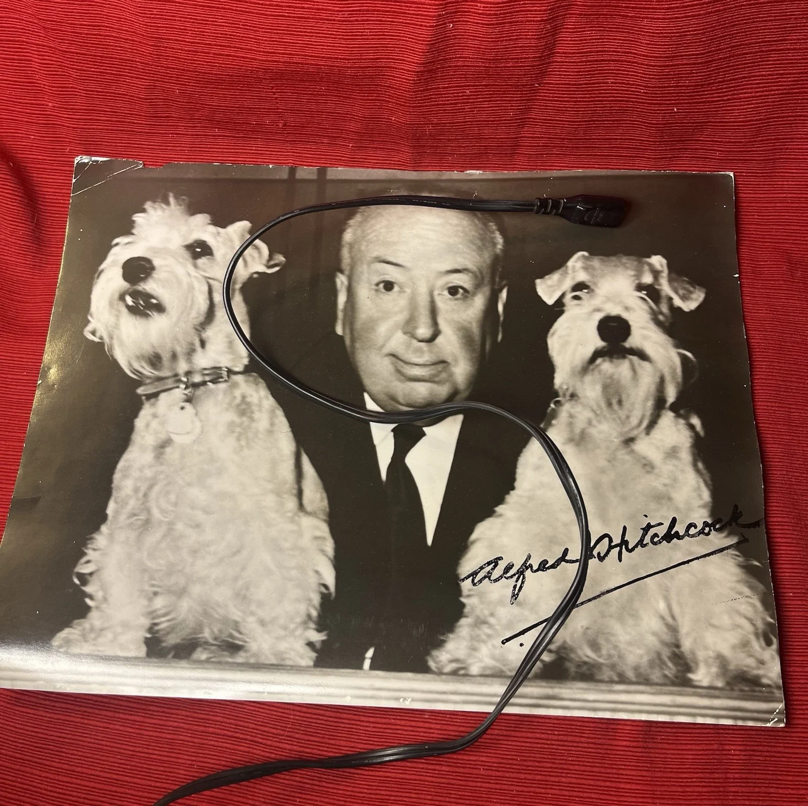 Alfred Hitchcock Signed Photo Autograph W 2 Dogs Vintage Portrait Og Photo Rare, изображение 2