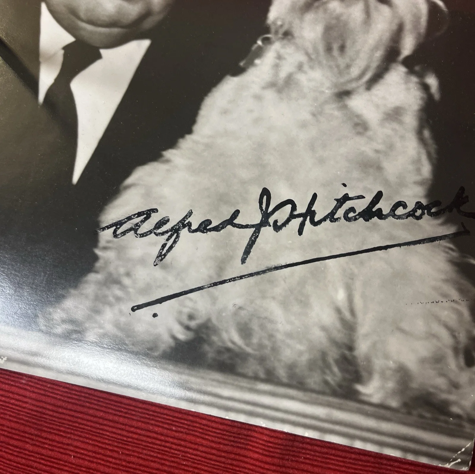 Alfred Hitchcock Signed Photo Autograph W 2 Dogs Vintage Portrait Og Photo Rare, изображение 3