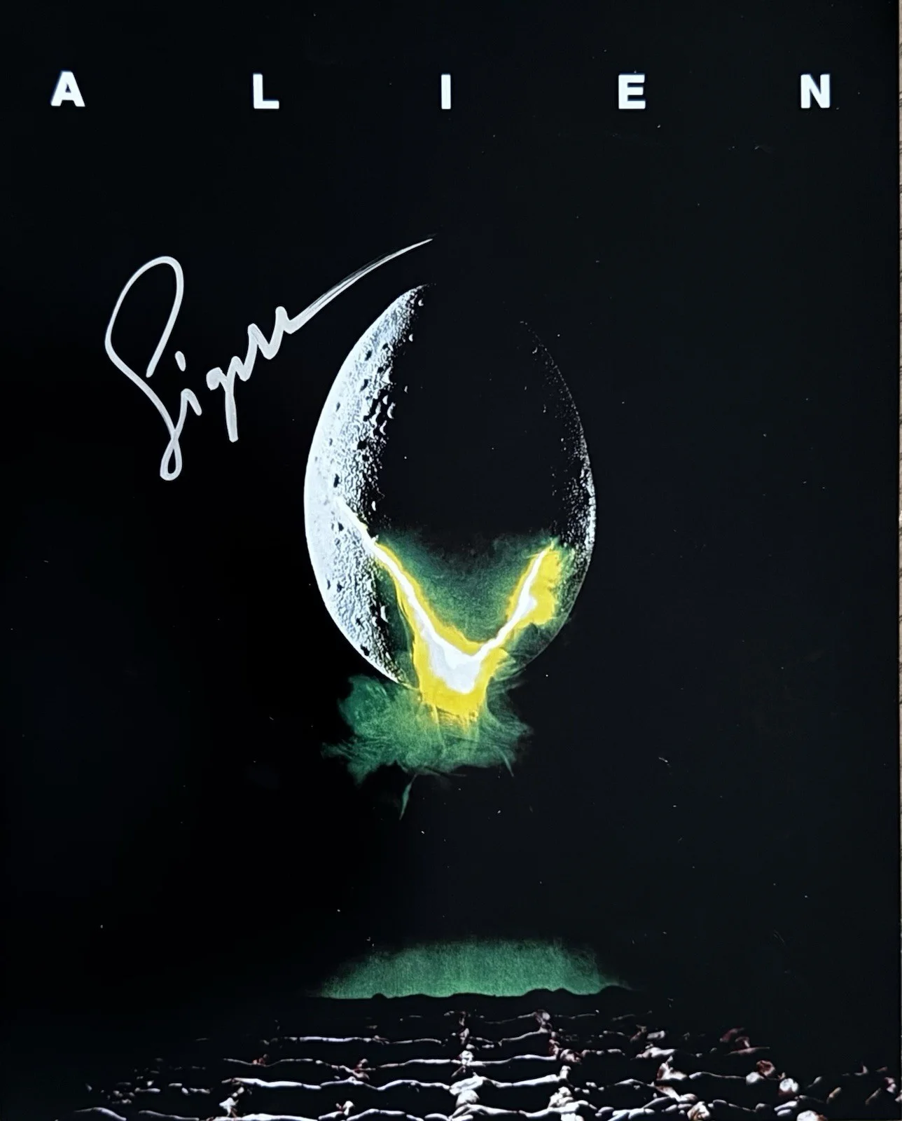 Sigourney Weaver — Sigourney Weaver Signed 8 X 10 Photo Alien Ripley W/COA #710275
