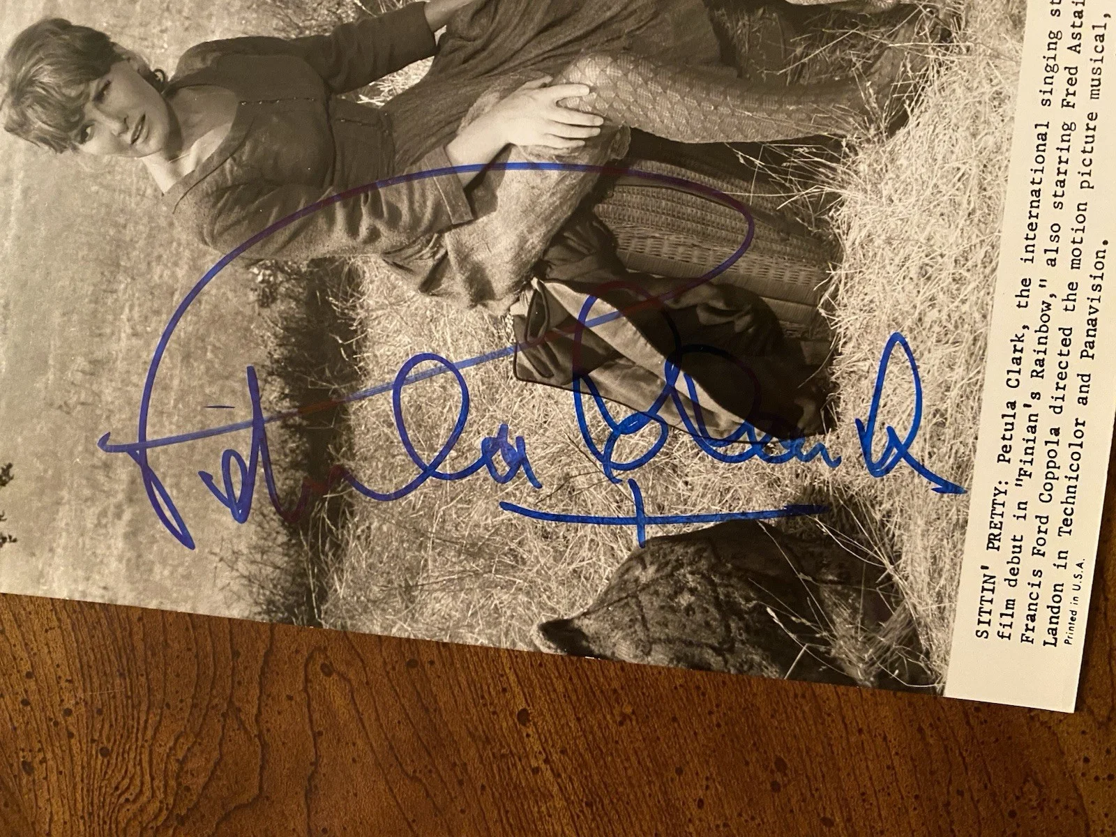 Petula Clark — Petula Clark Signed Autographed Vintage Photo With COA Finians Rainbow NICE, изображение 2