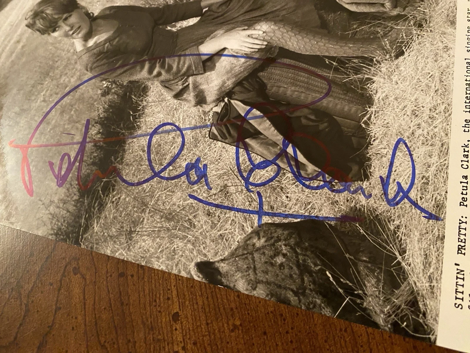 Petula Clark — Petula Clark Signed Autographed Vintage Photo With COA Finians Rainbow NICE, изображение 3