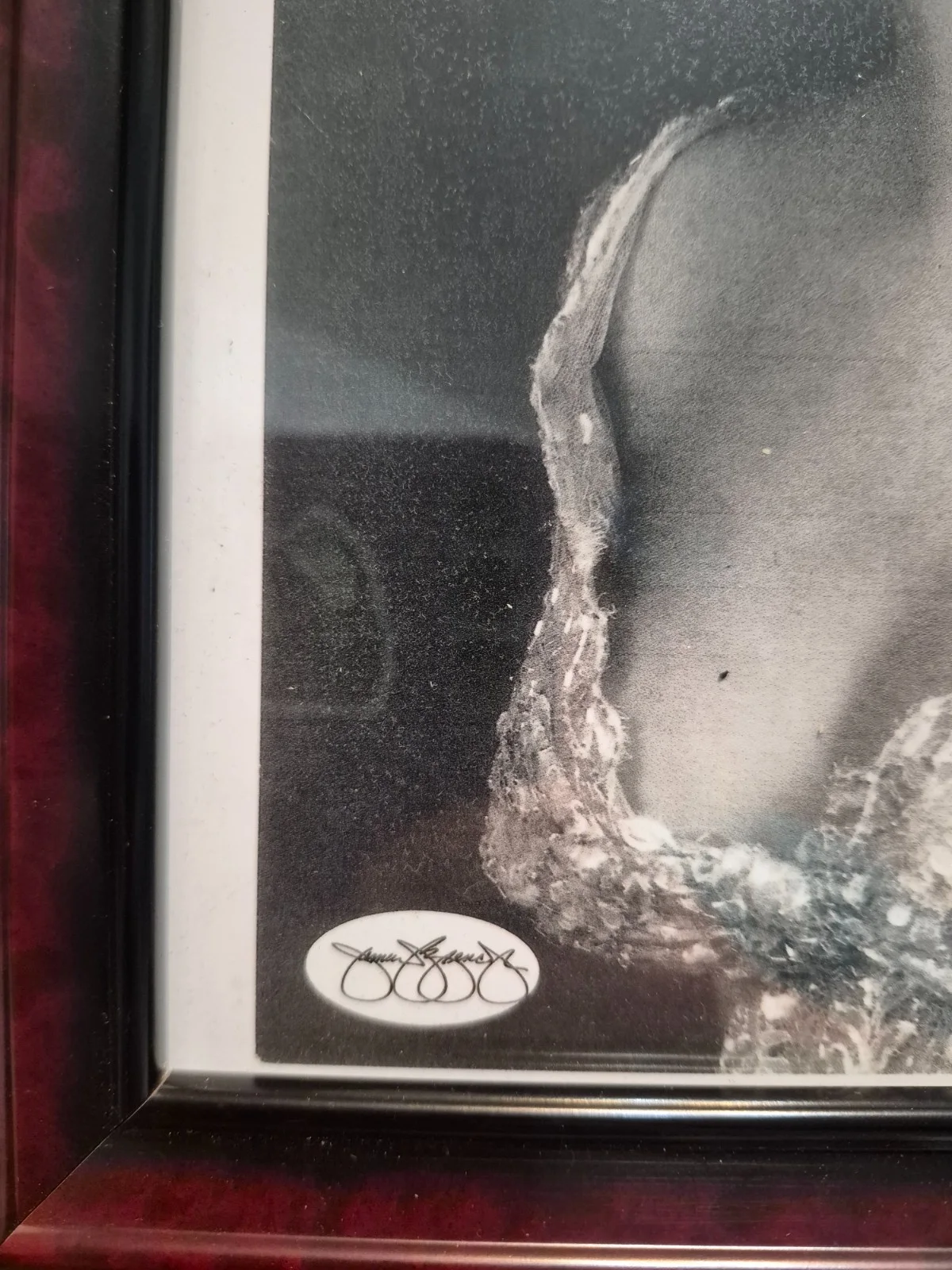 Sophia Loren signed picture in frame, изображение 4