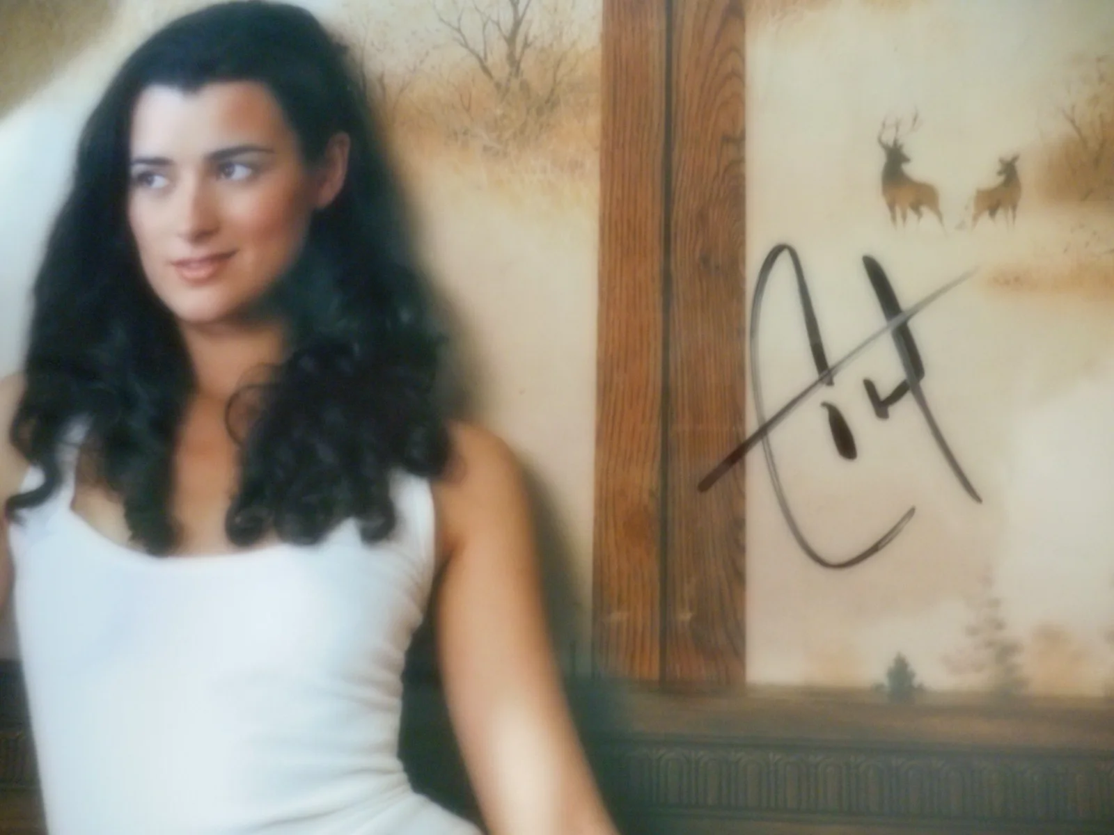 Cote de Pablo — Cote de Pablo signed NCIS Special Agent (Ziva) 8x10 Photo W/COA Matching Holo, image 4