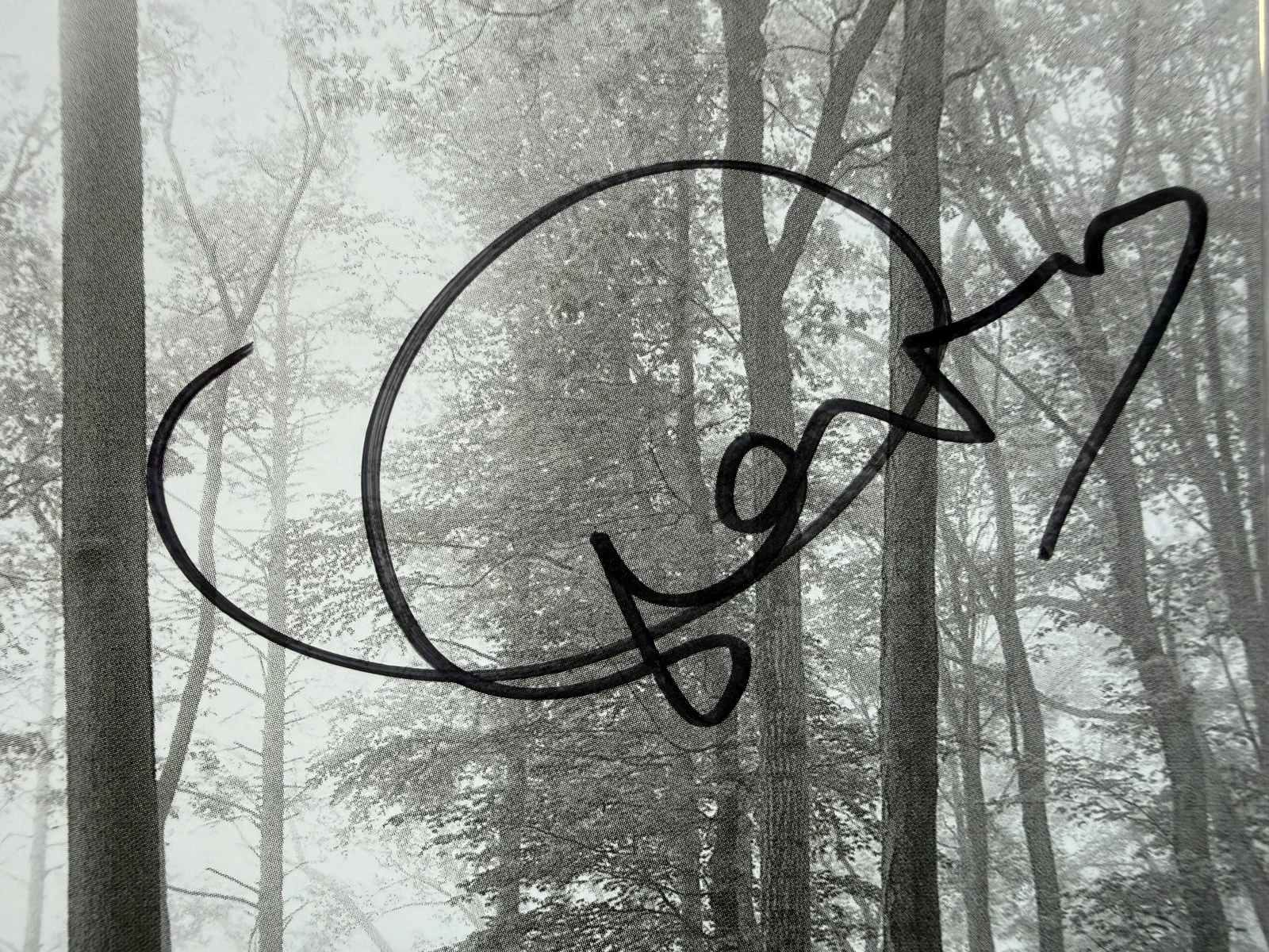 Taylor Swift Signed Folklore CD Cover AUTO PSA/DNA COA, image 3