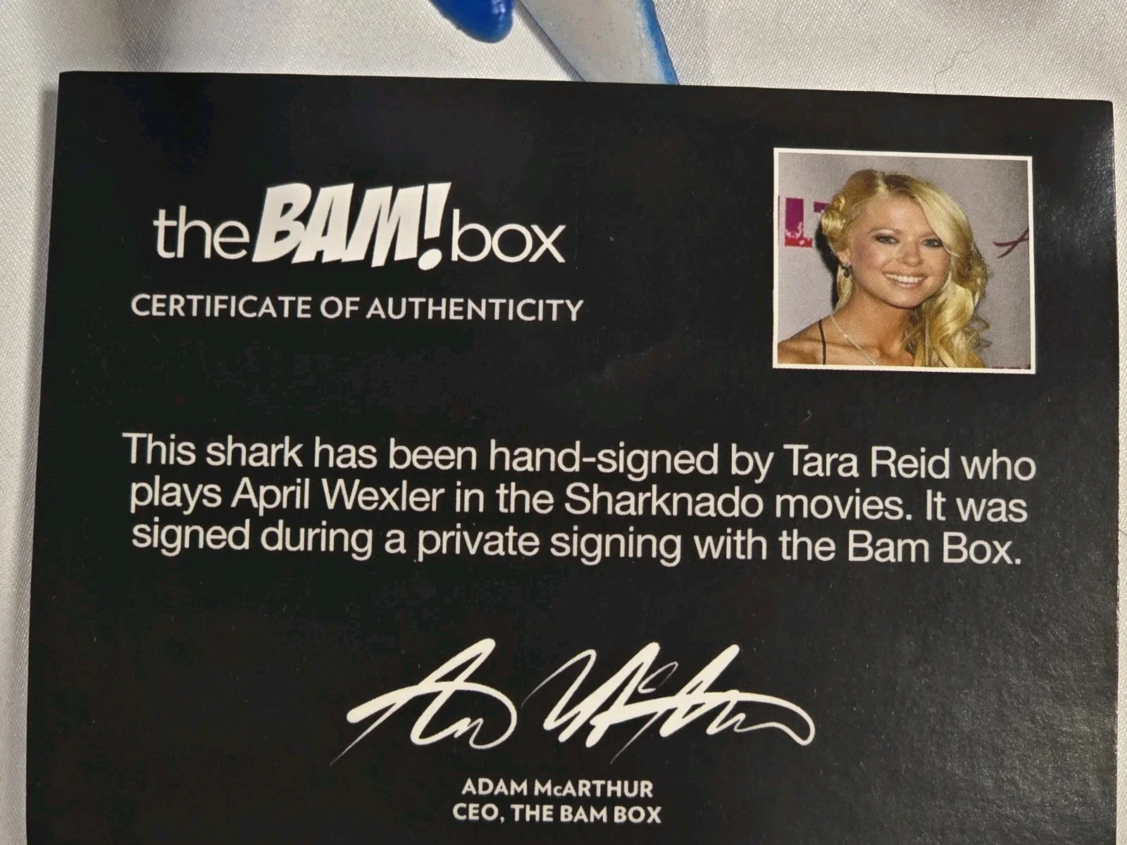 Tara Reid — Tara Reid Signed Sharknado Shark Toy w/ BAM Box COA & SEALED Sharknado Blue Ray, изображение 3