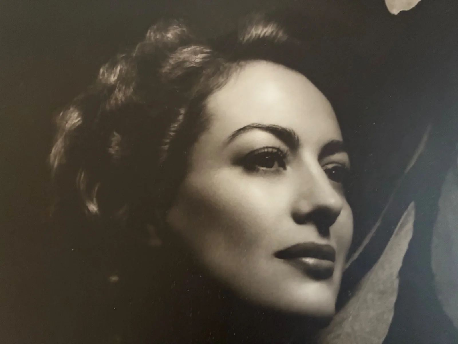 George Hurrell — JOAN CRAWFORD George Hurrell SIGNED 16x20 DBLWT Silver Gelatin Photo Ltd Ed #116, image 2