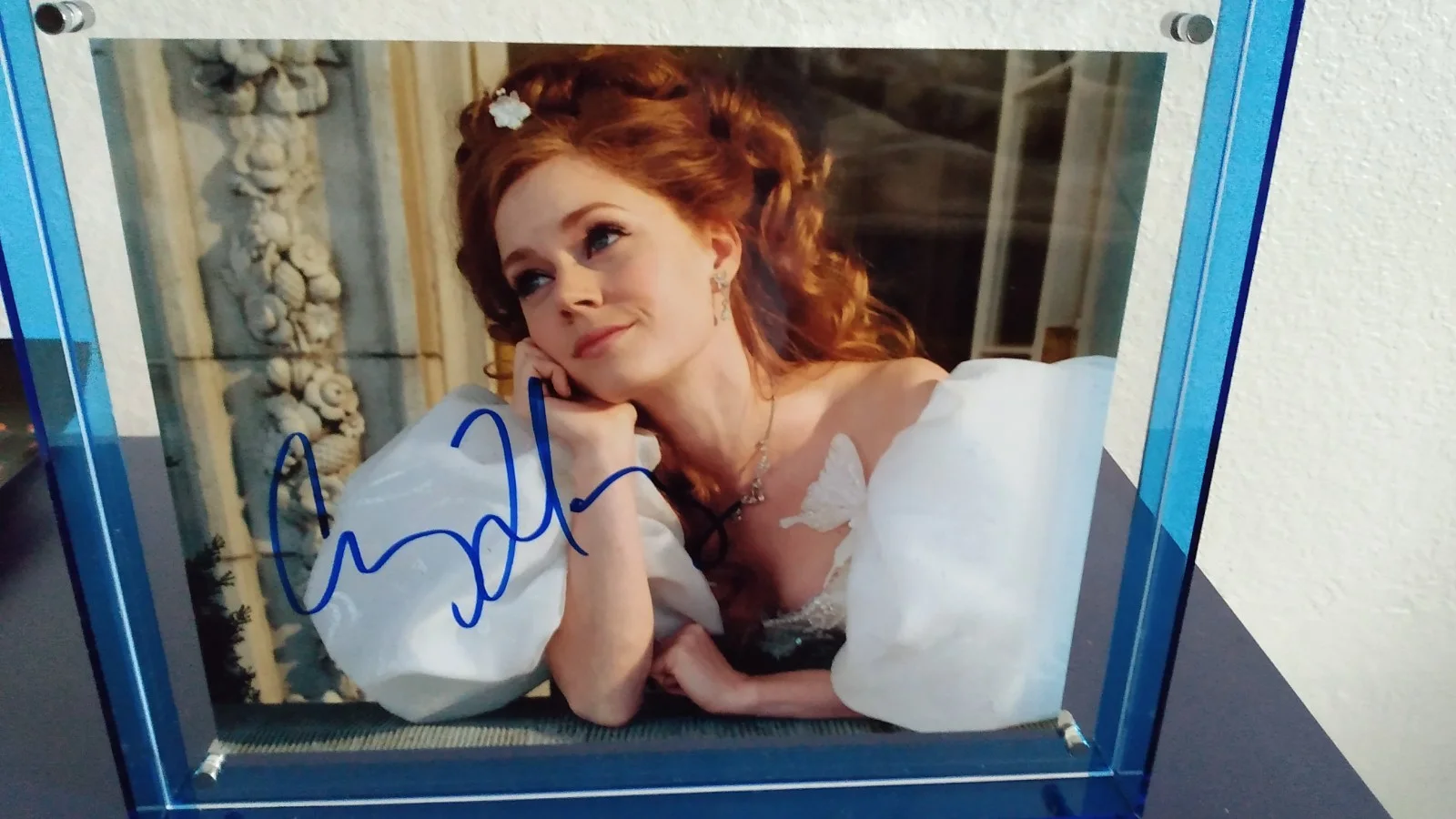 Amy Adams Autographed 8x10 Picture with COA and Blue Floating Picture Frame, image 3