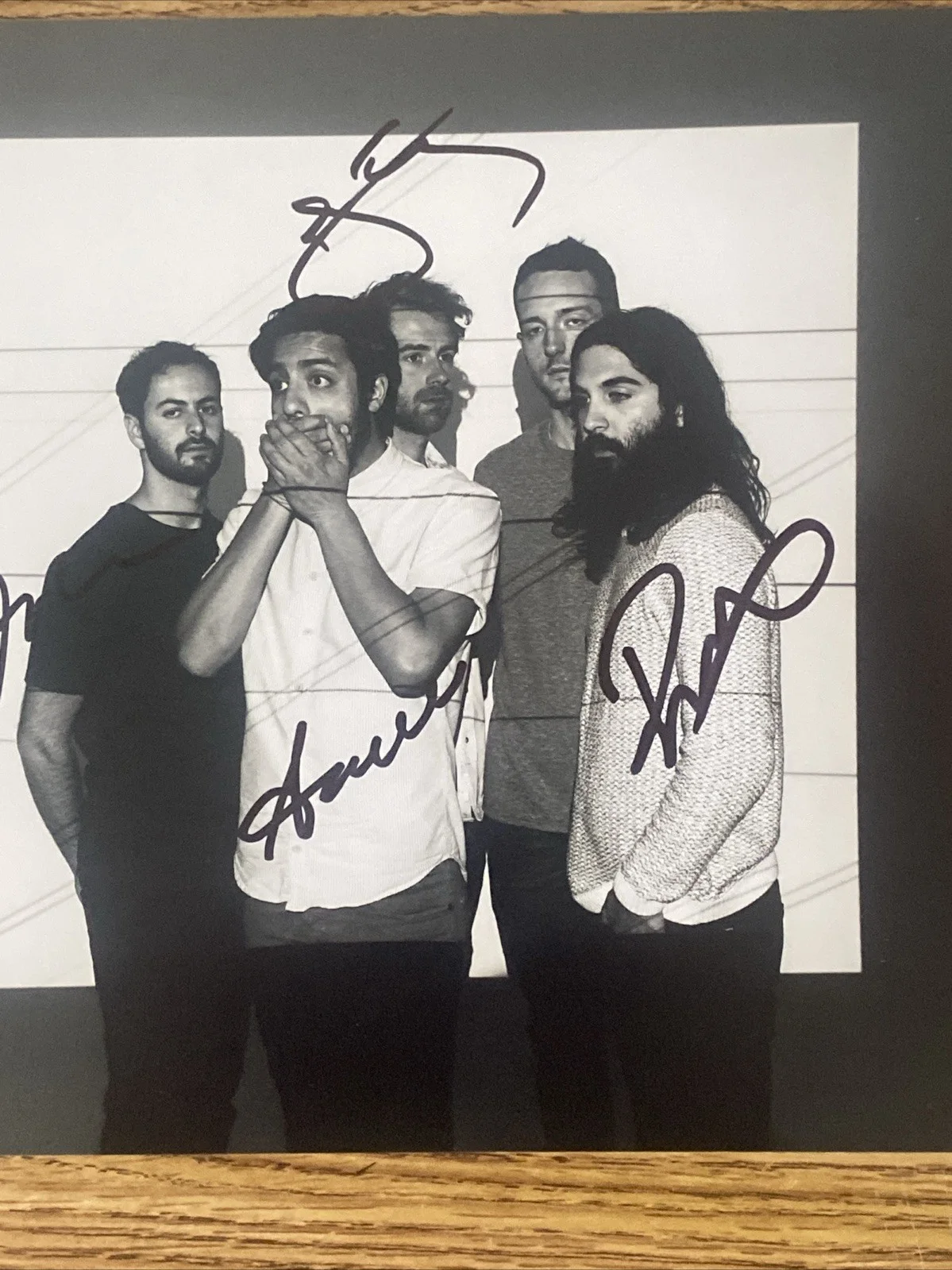 Young The Giant Band Autographed 8x10 Photo Sameer Gadhia +3, изображение 3