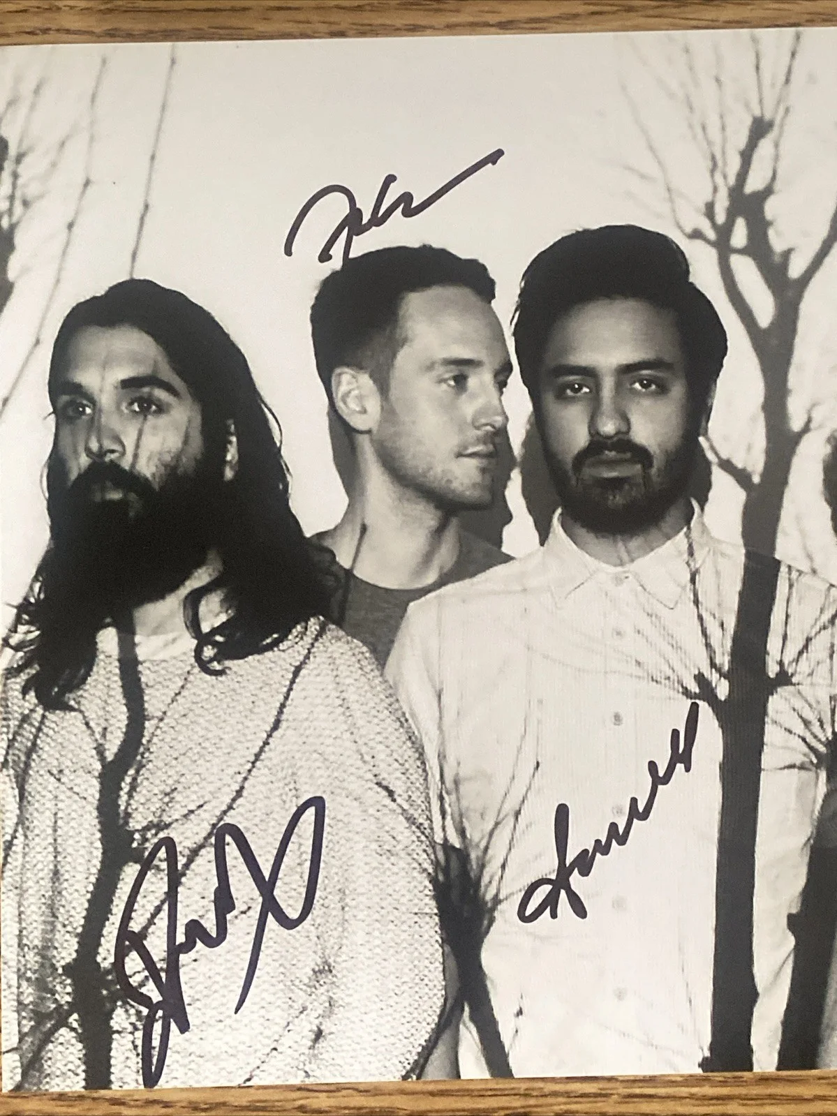 Young The Giant Band Autographed 8x10 Photo Sameer Gadhia +3, изображение 2