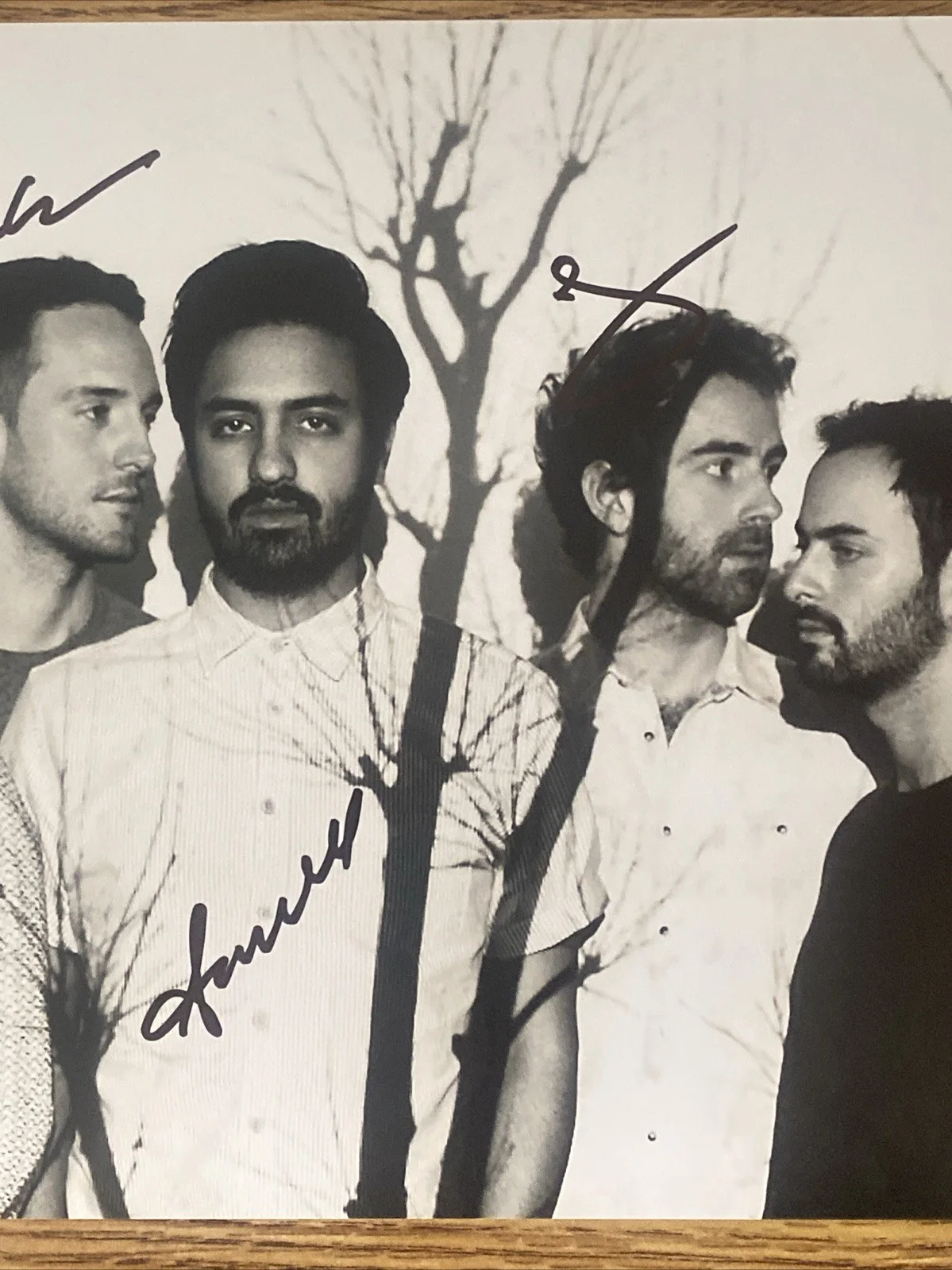 Young The Giant Band Autographed 8x10 Photo Sameer Gadhia +3, изображение 3