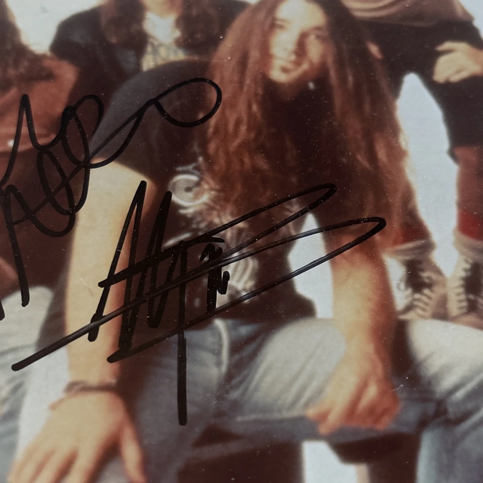 Pearl Jam Signed 8x10 Photo (1993-95) Eddie Vedder Jeff Ament Stone Gossard etc, image 5