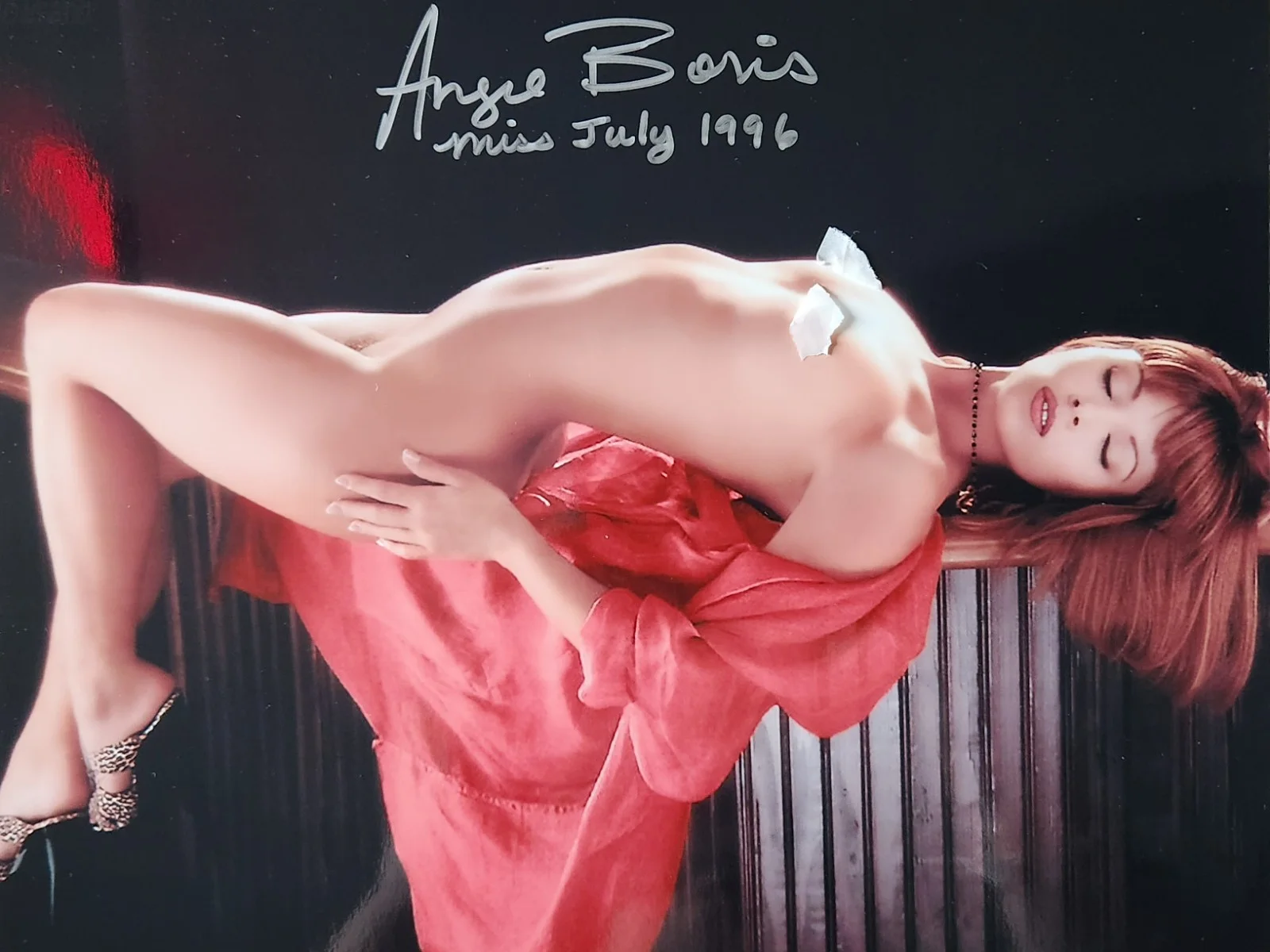 Lot Of Signed Autographed 8x10" Photograph AW Playboy Model Sexy fcq33, изображение 3